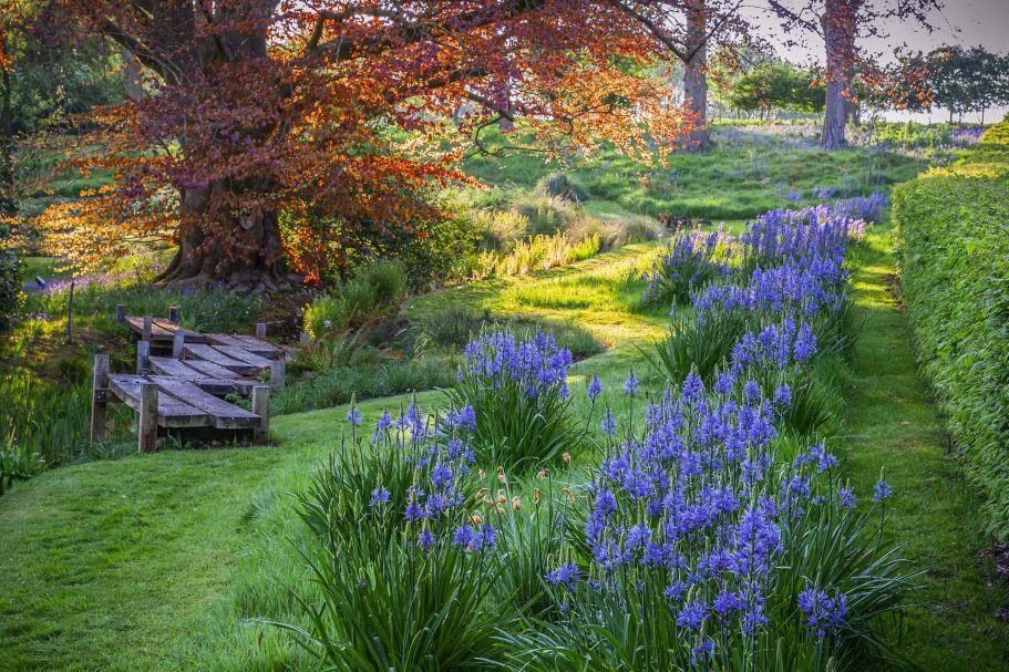 Chair in Garden