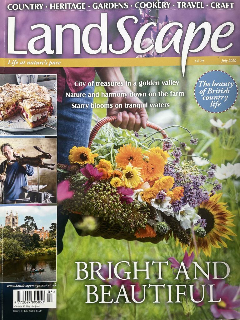 Publication Book - Landscape