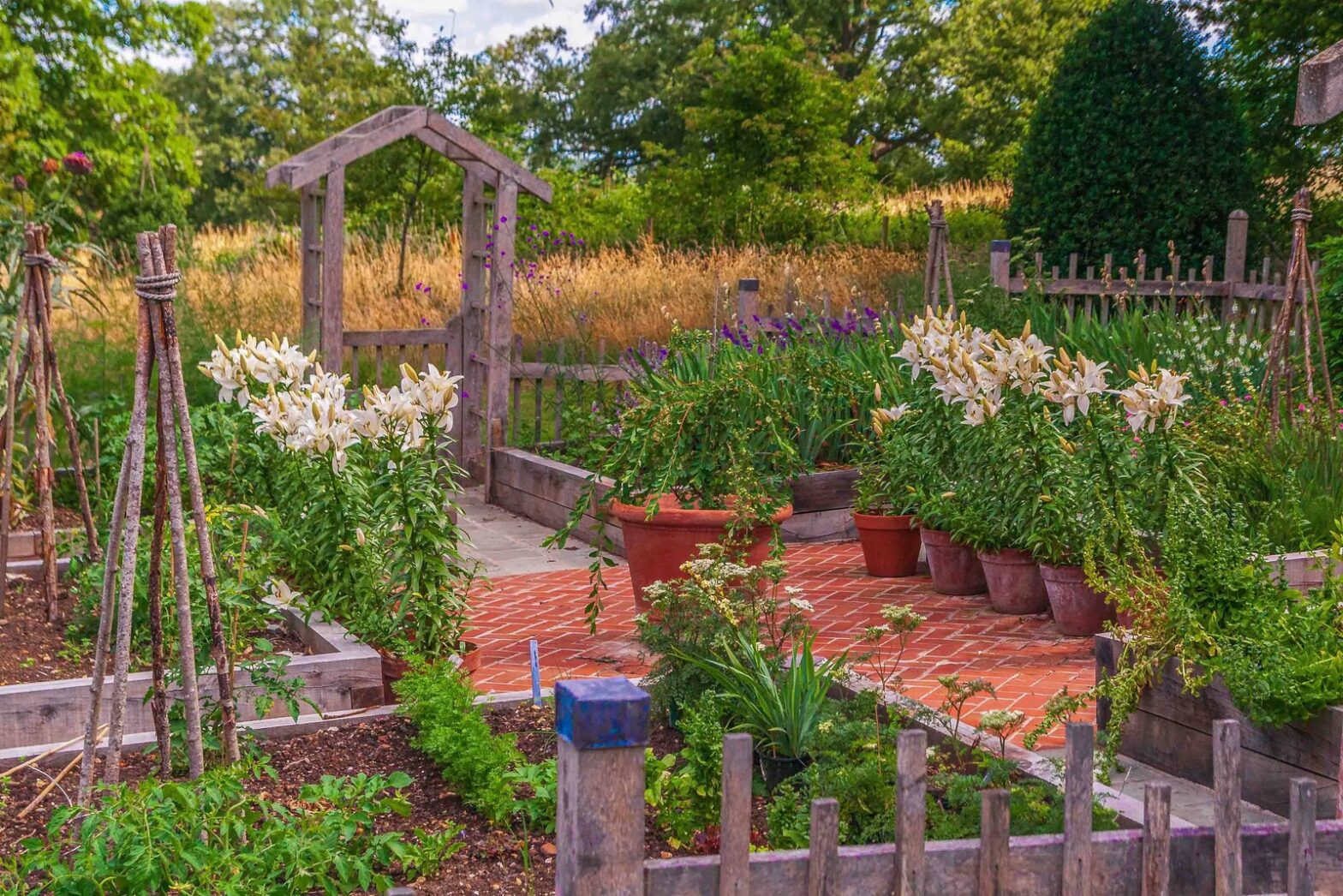 Kitchen & Spring Garden