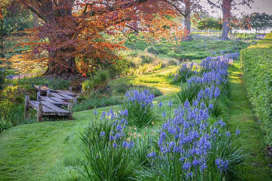Bog Garden & Boardwalk