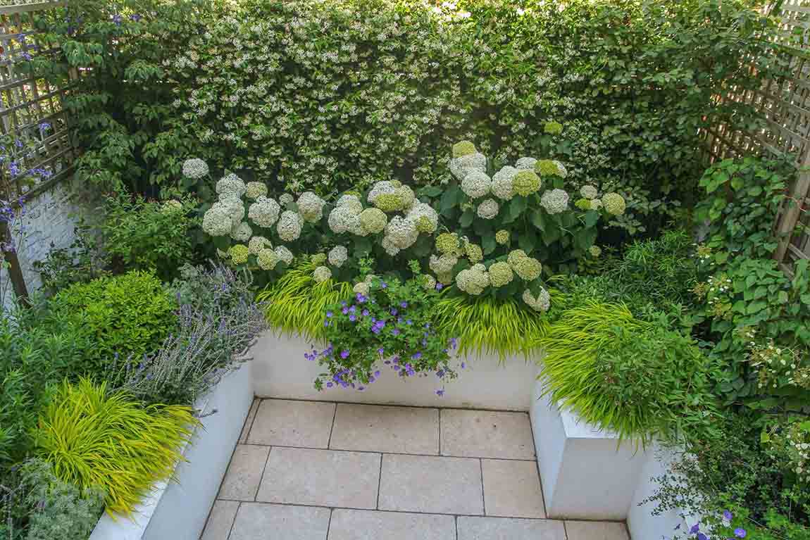 London Garden