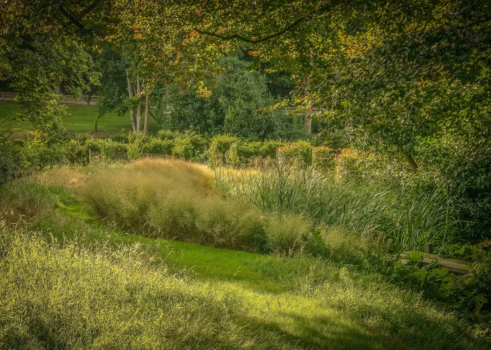 Bog Garden & Boardwalk - Gallery 12