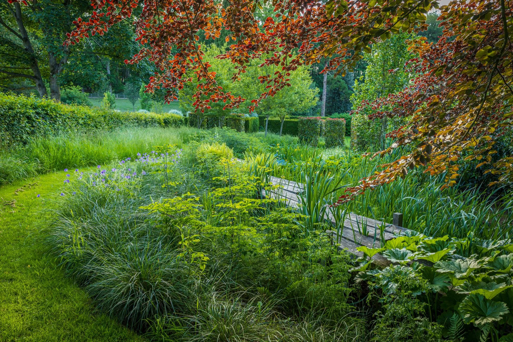 Bog Garden & Boardwalk - Gallery 04