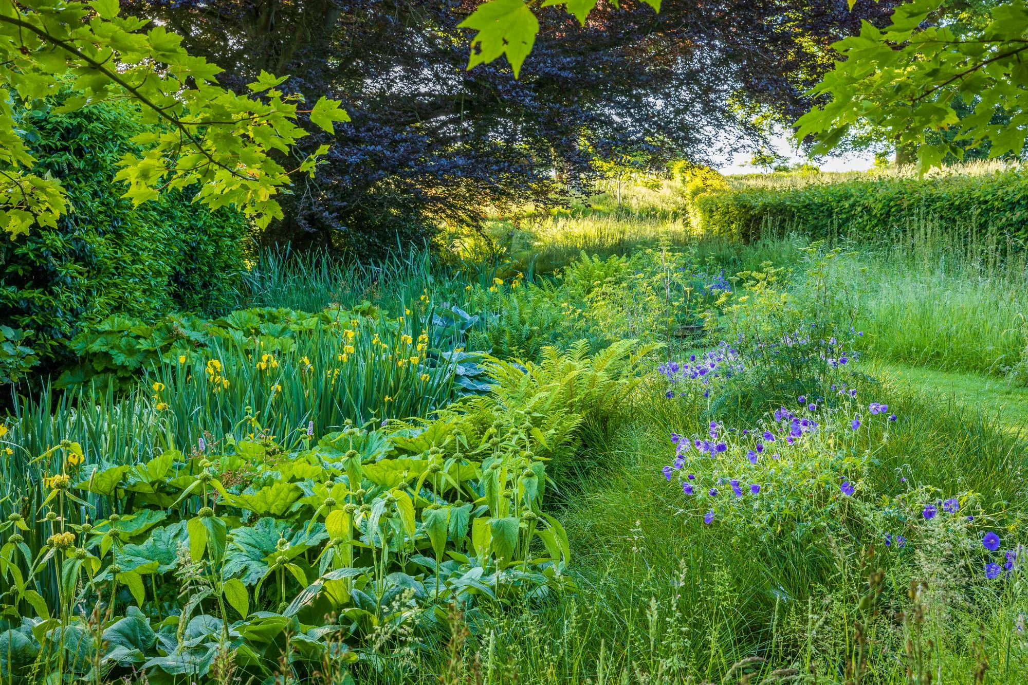 Bog Garden & Boardwalk - Gallery 06