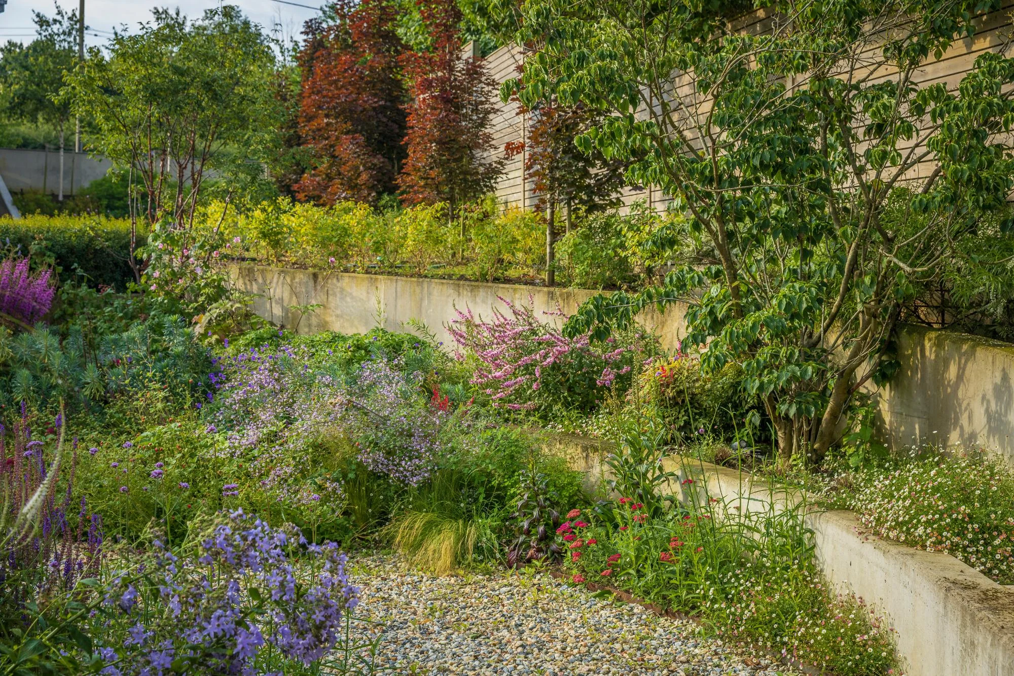 Contemporary Garden With a View - Gallery 05