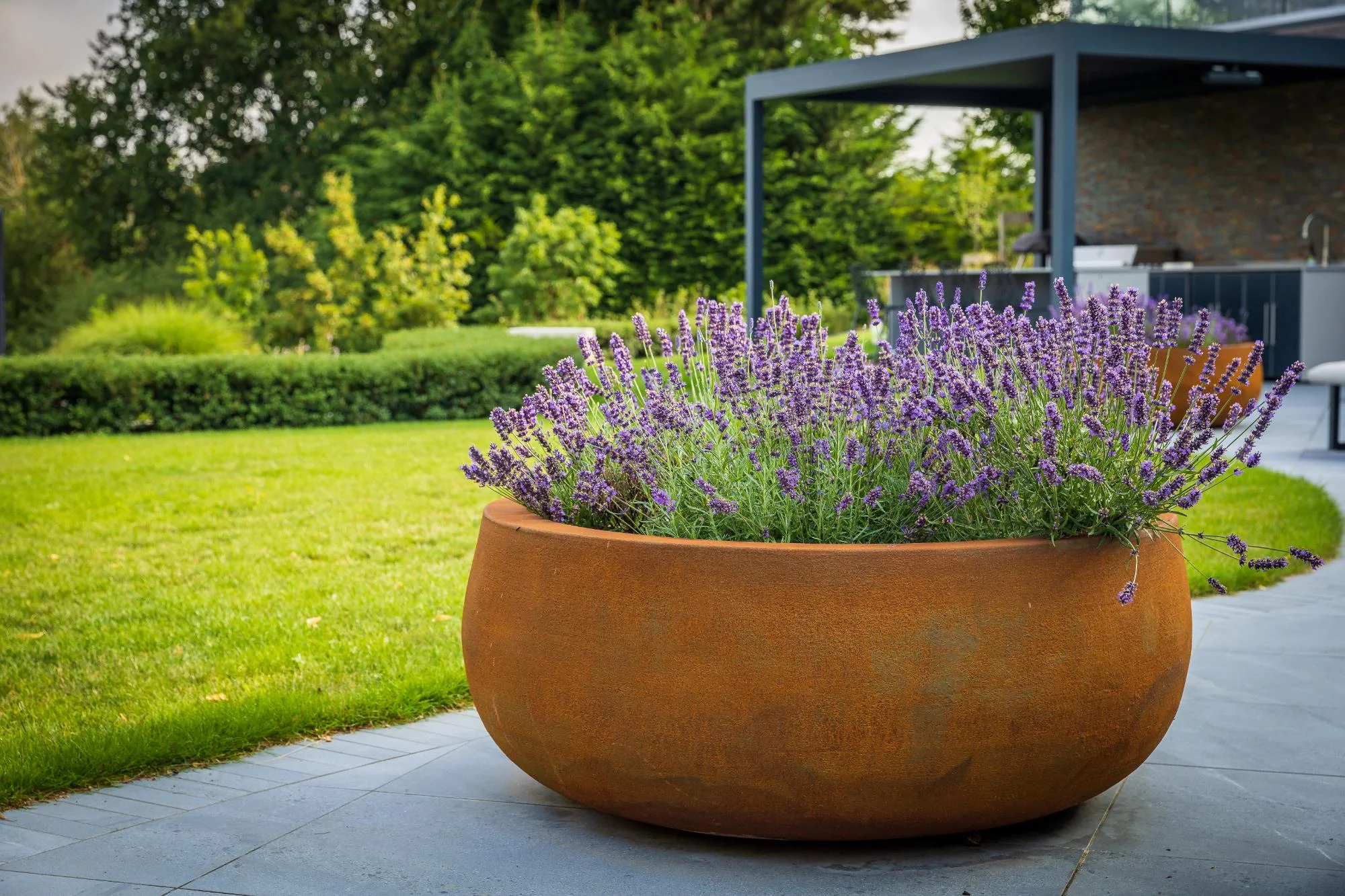 Contemporary Garden With a View - Gallery 06