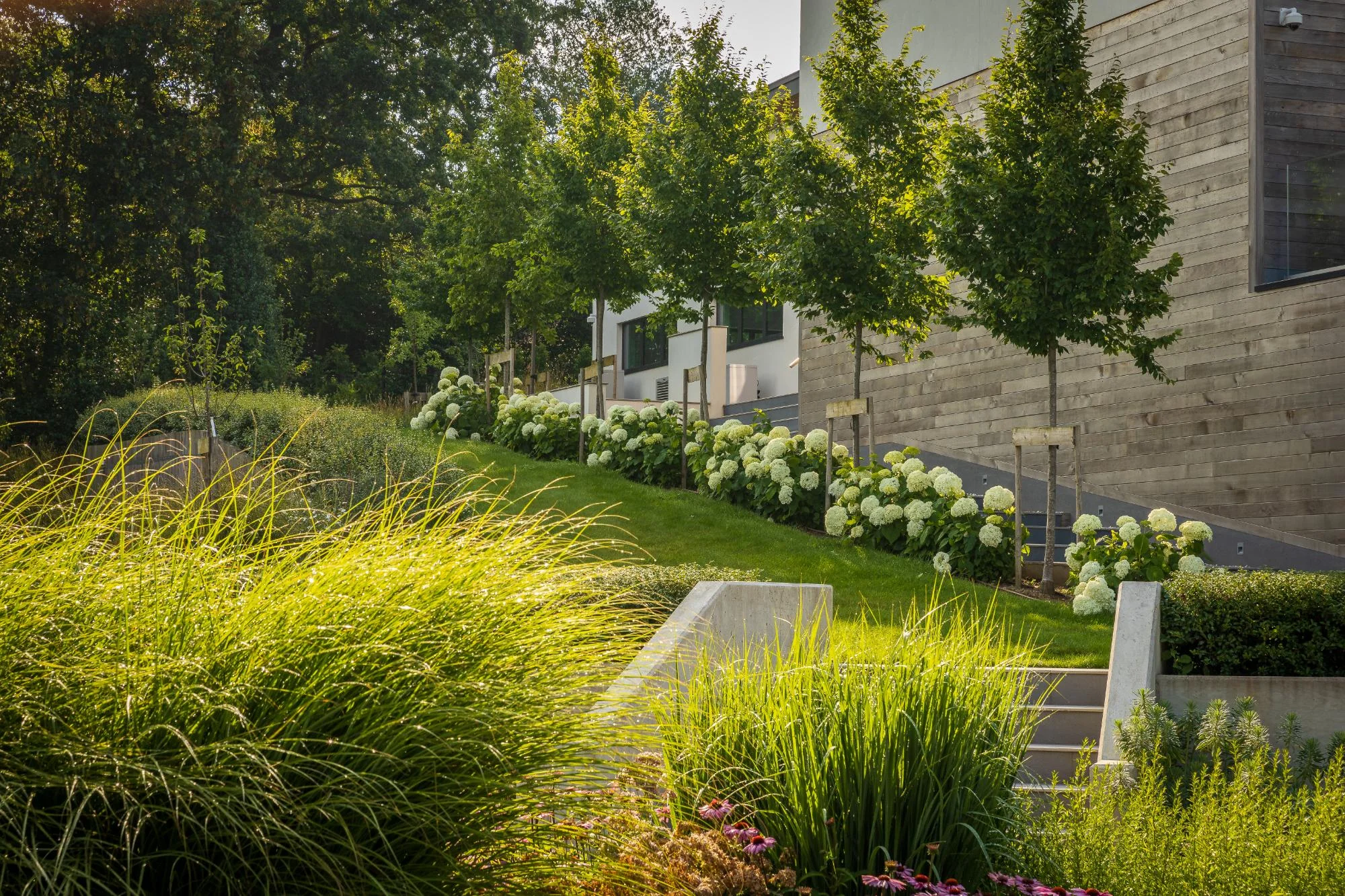 Contemporary Garden With a View - Gallery 07