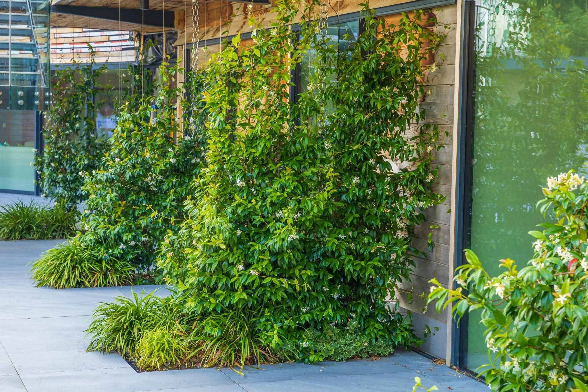 Contemporary Garden With a View - Gallery 10