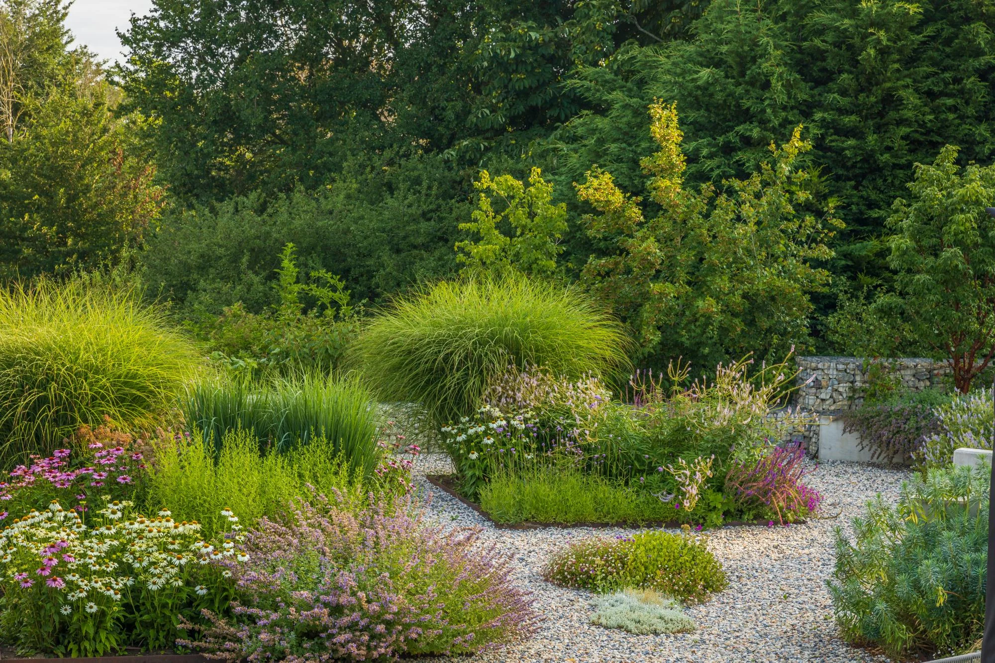 Contemporary Garden With a View - Gallery 13