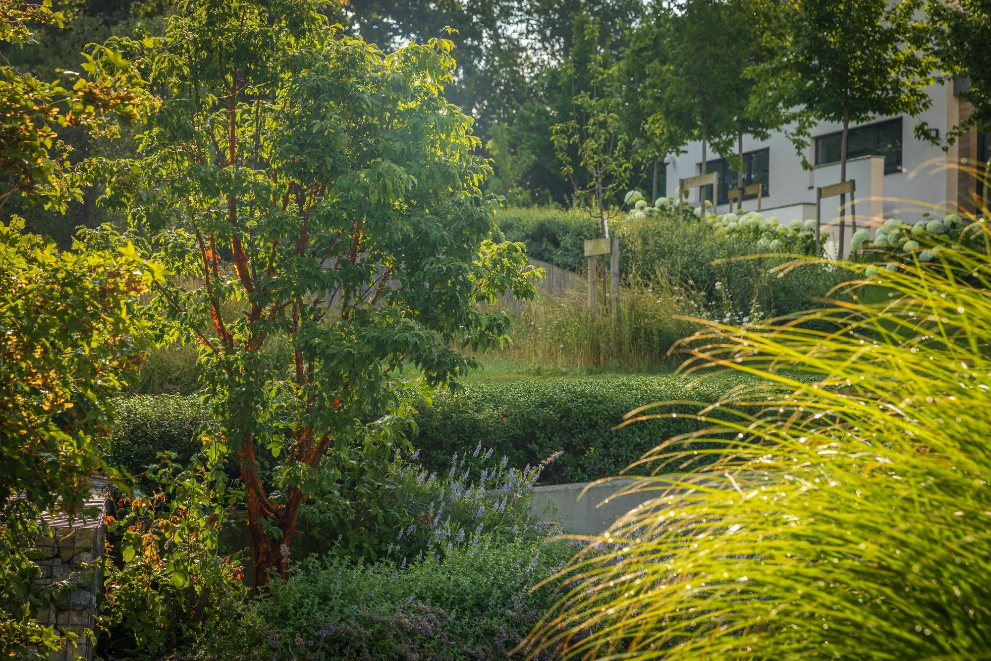 Contemporary Garden With a View - Gallery 14