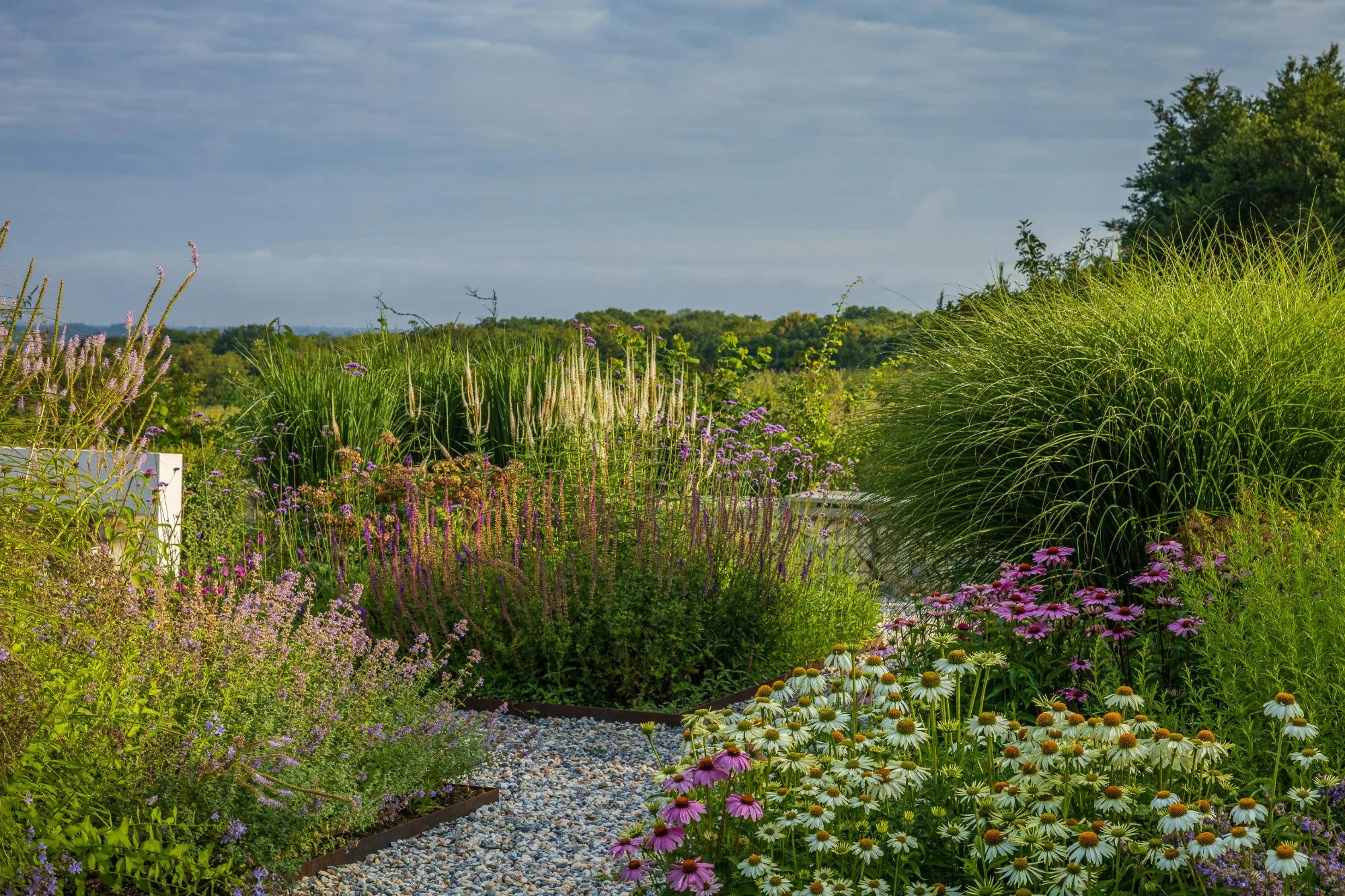 Contemporary Garden With a View - Gallery 15