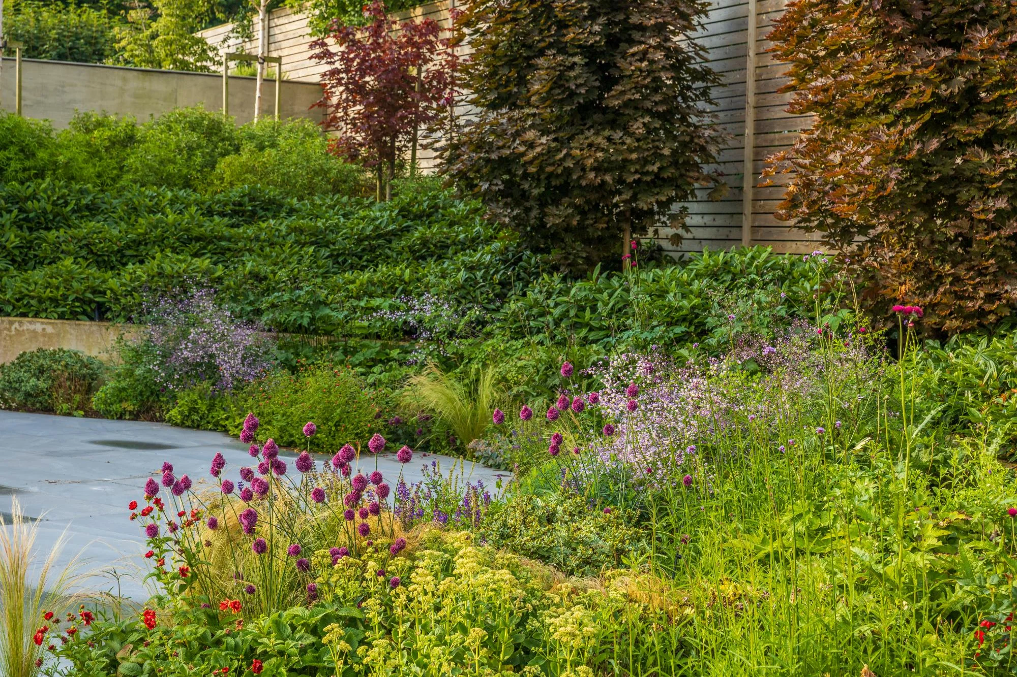 Contemporary Garden With a View - Gallery 16