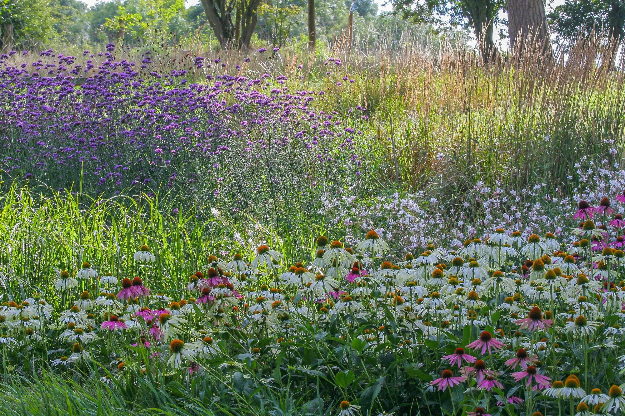 Garden With Naturalistic Planting - Gallery 02