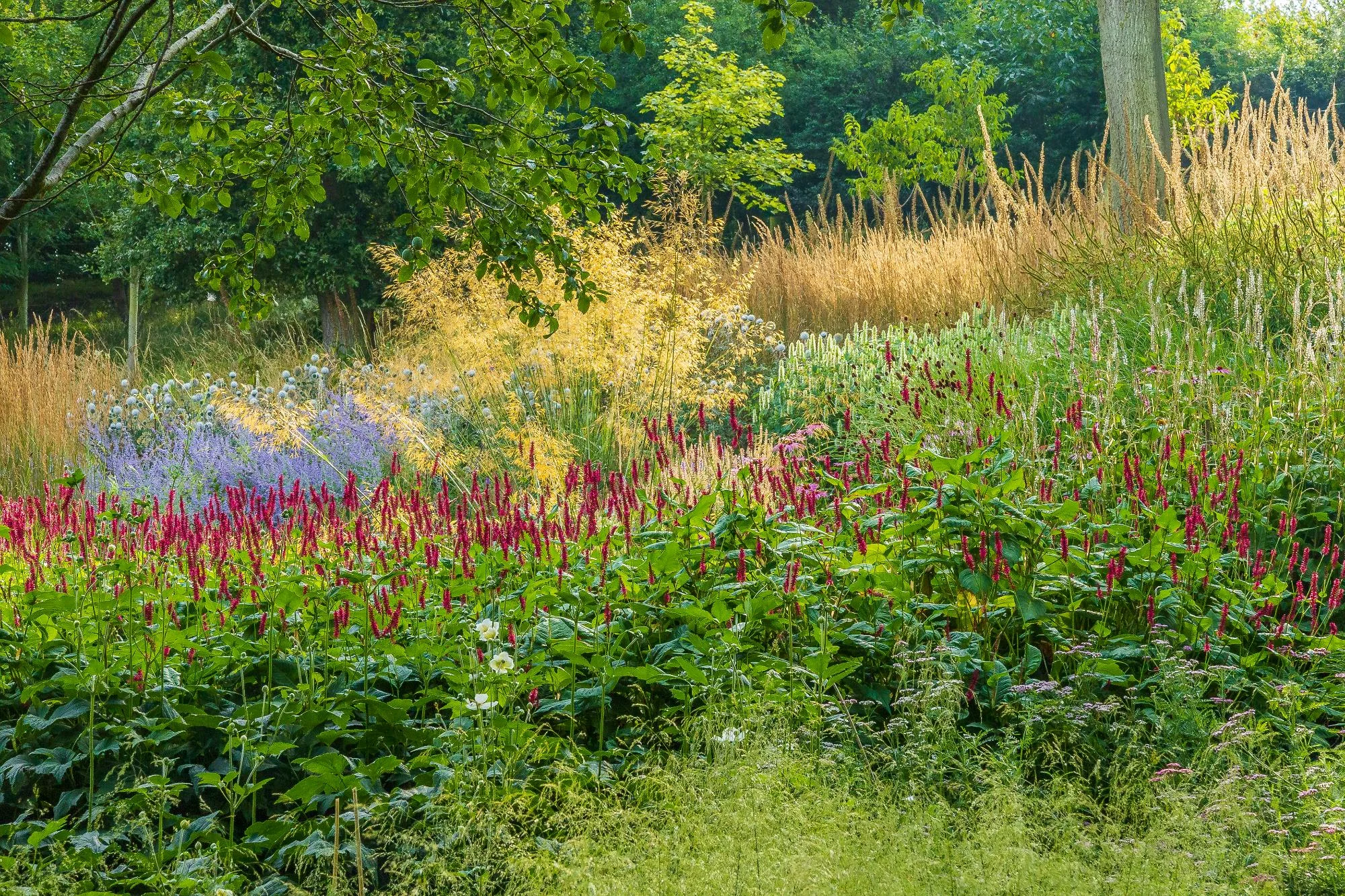 Garden With Naturalistic Planting - Gallery 03