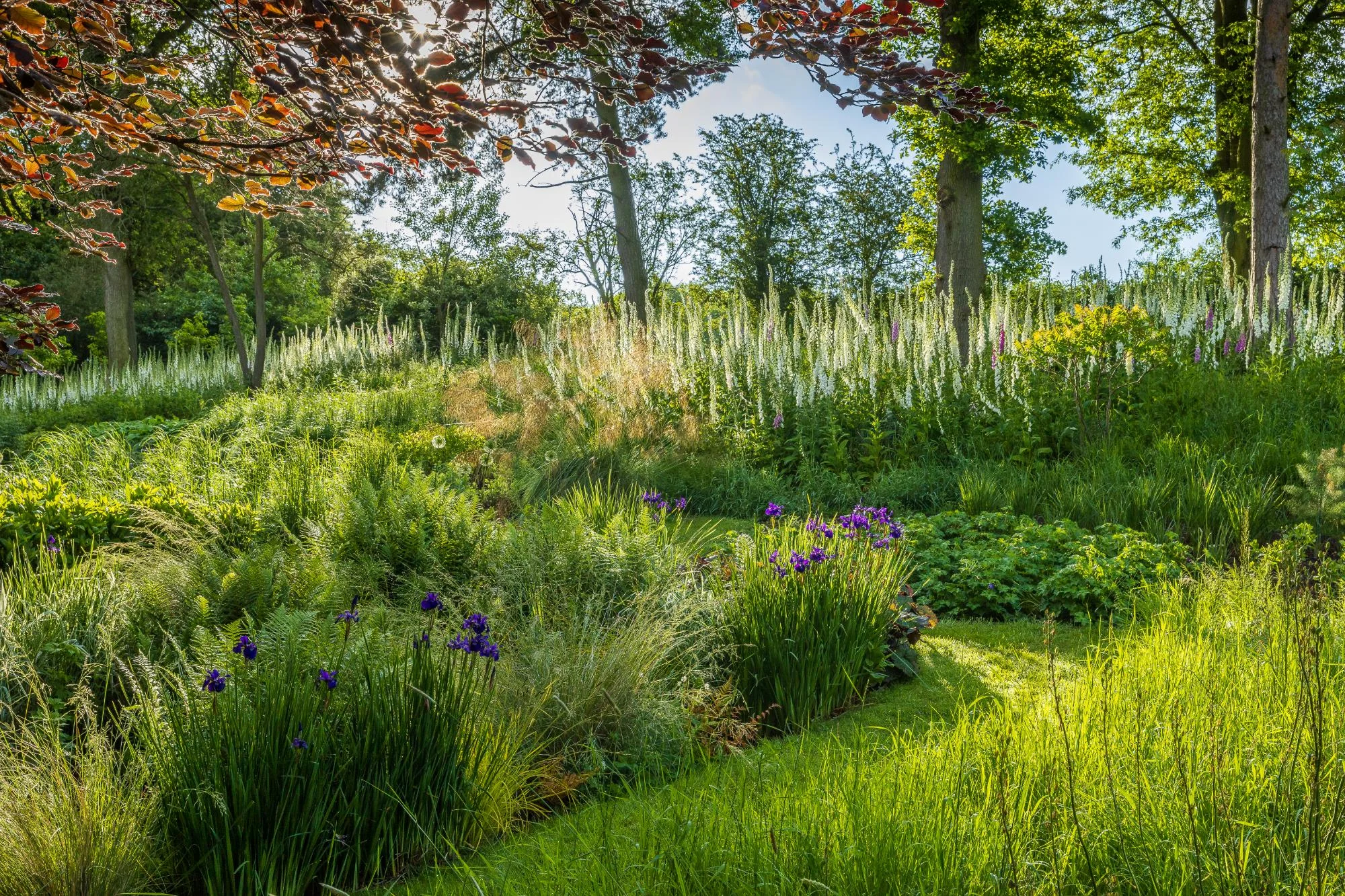 Garden With Naturalistic Planting - Gallery 05