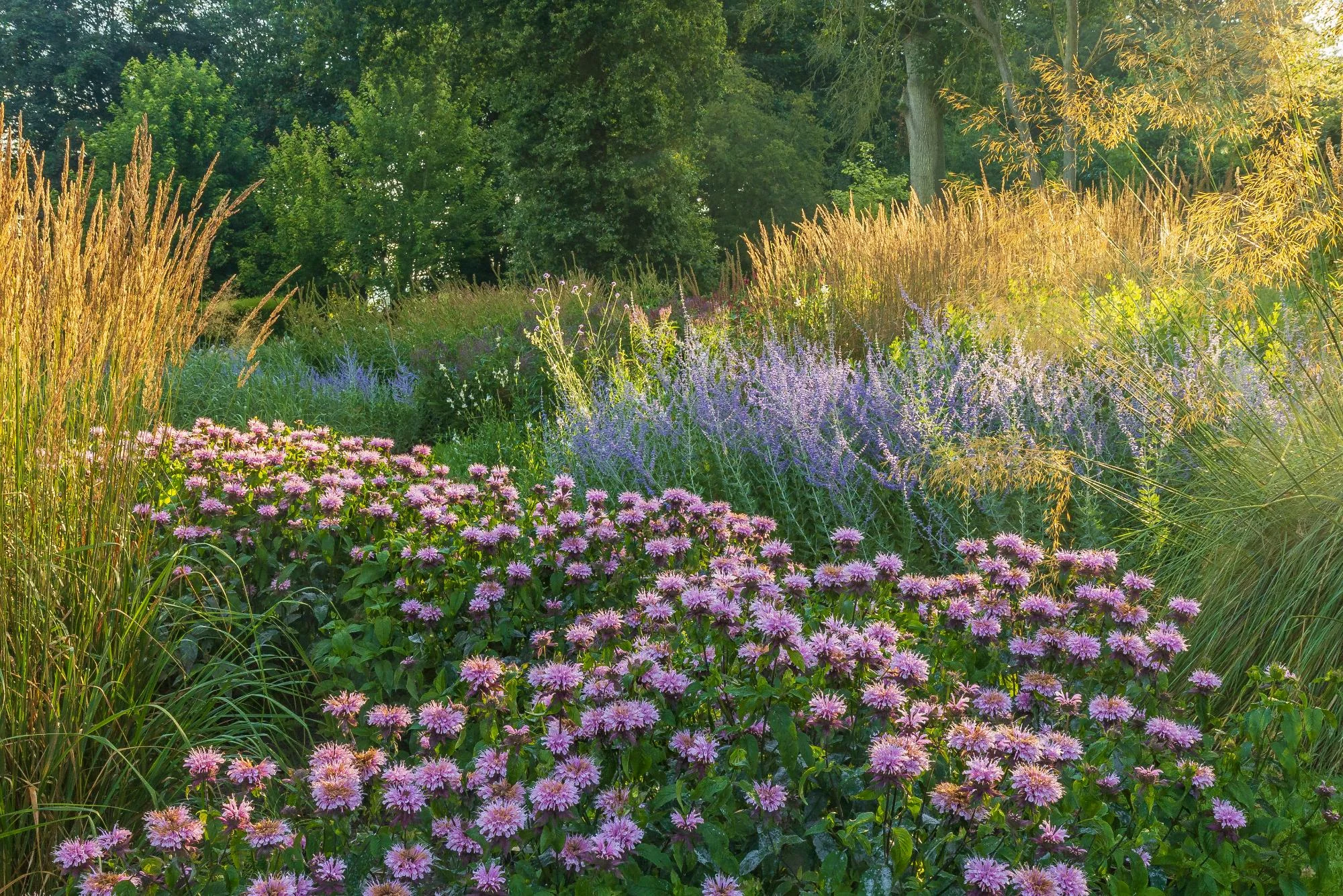 Garden With Naturalistic Planting - Gallery 06