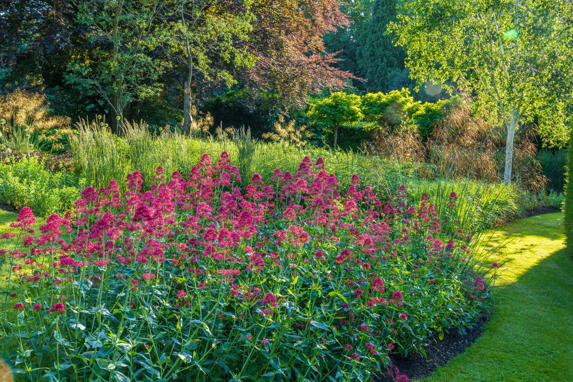 Garden With Naturalistic Planting - Gallery 07