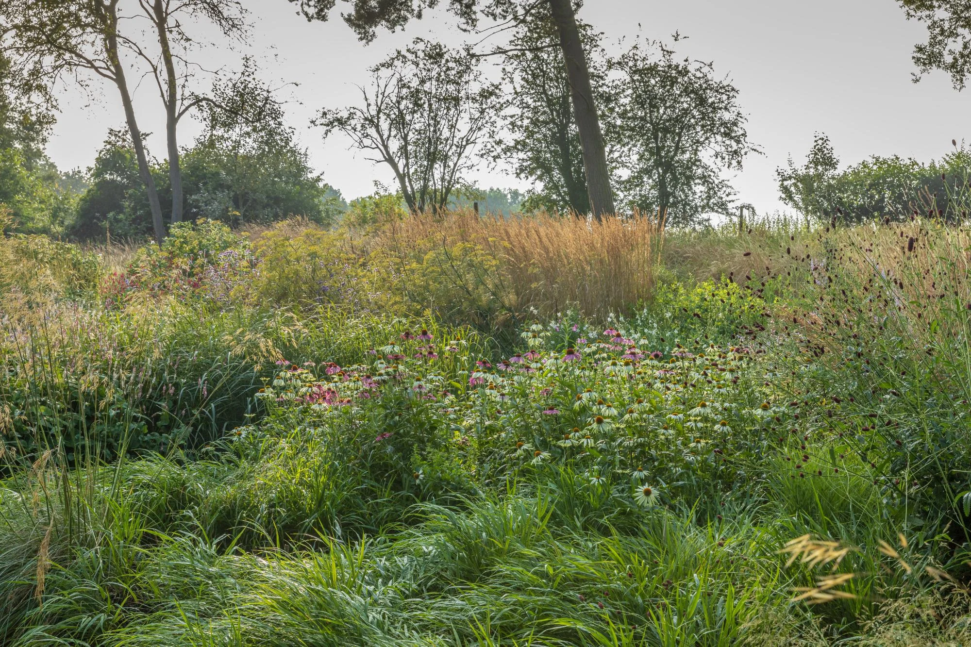 Garden With Naturalistic Planting - Gallery 11