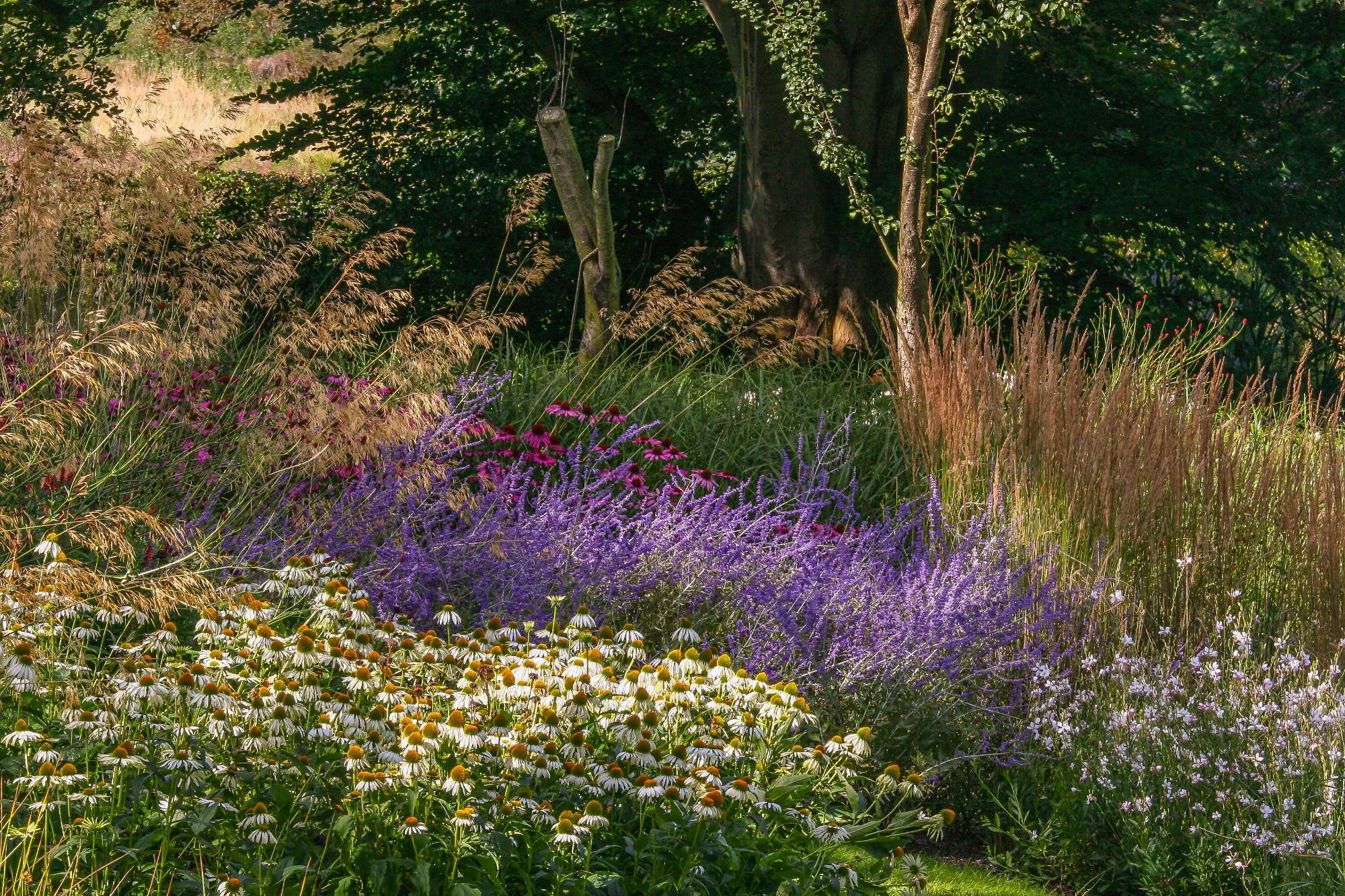 Garden With Naturalistic Planting - Gallery 13