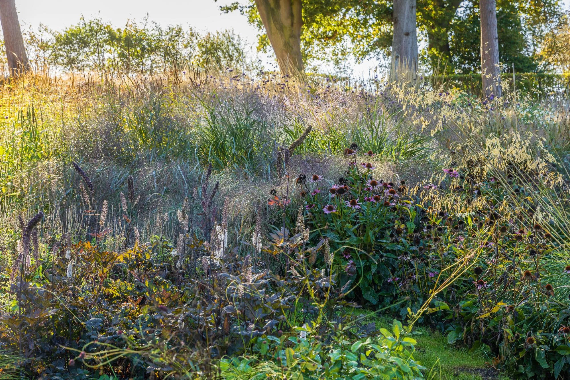 Garden With Naturalistic Planting - Gallery 14