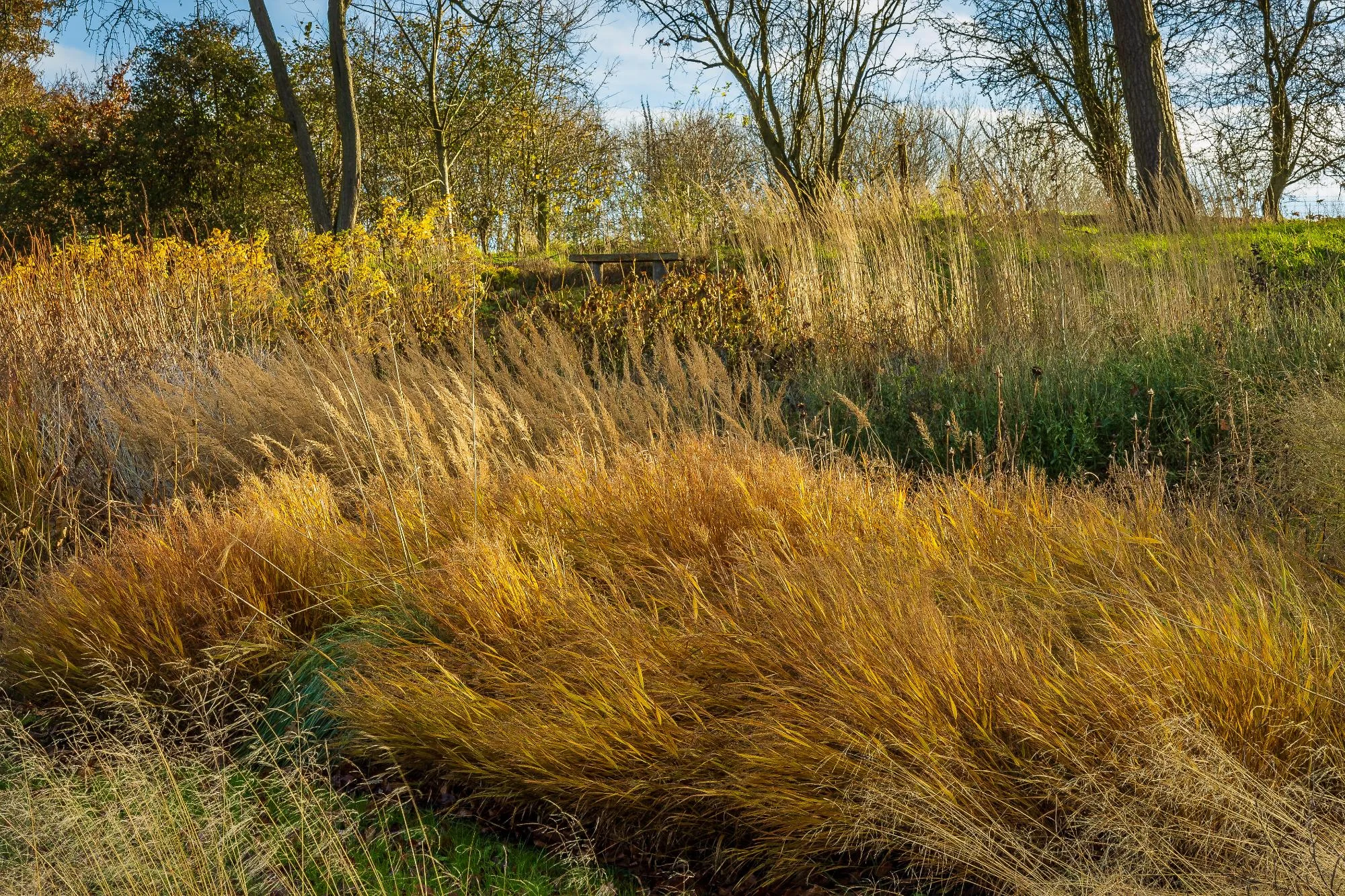 Garden With Naturalistic Planting - Gallery 16