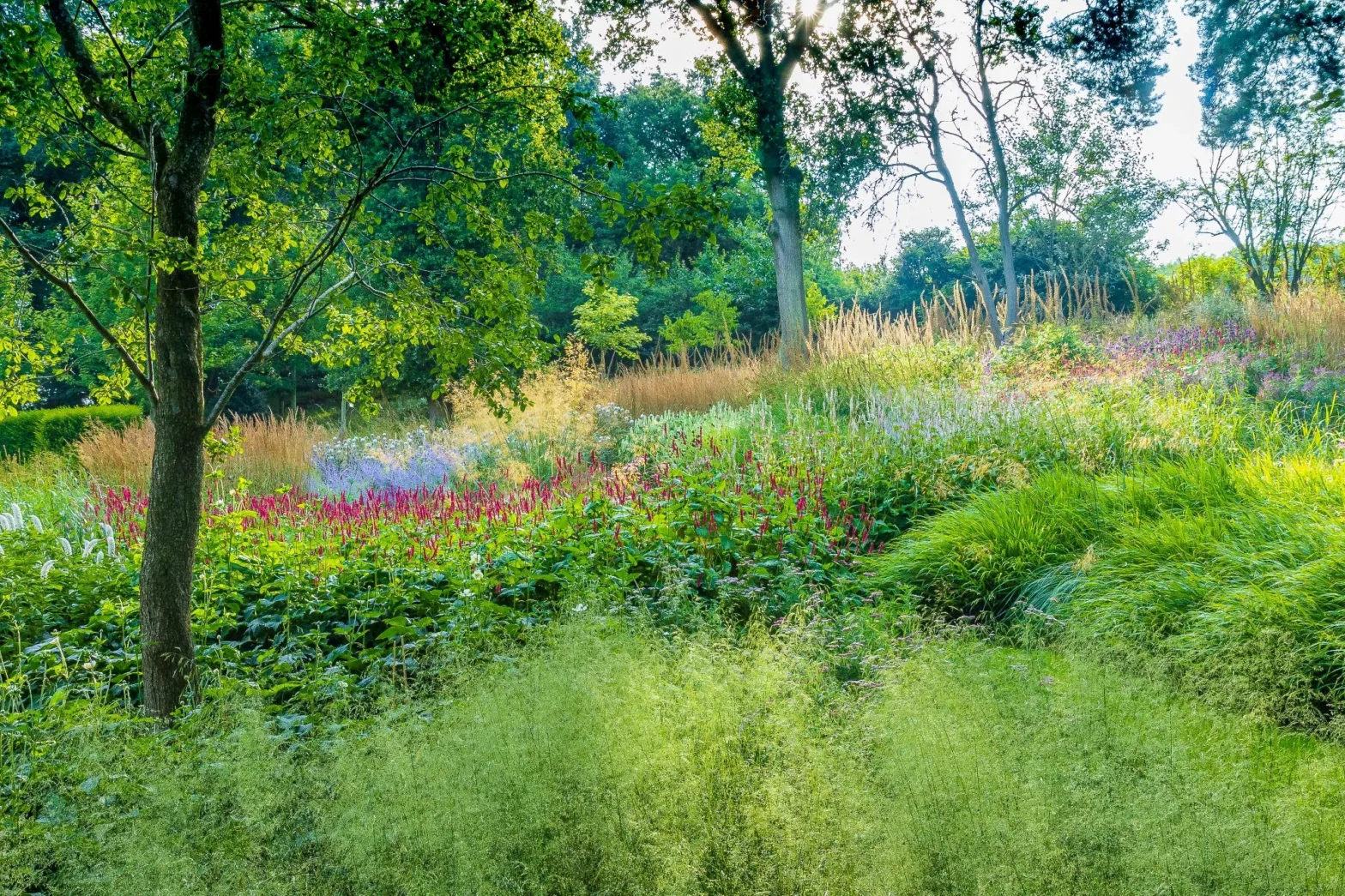 Garden With Naturalistic Planting