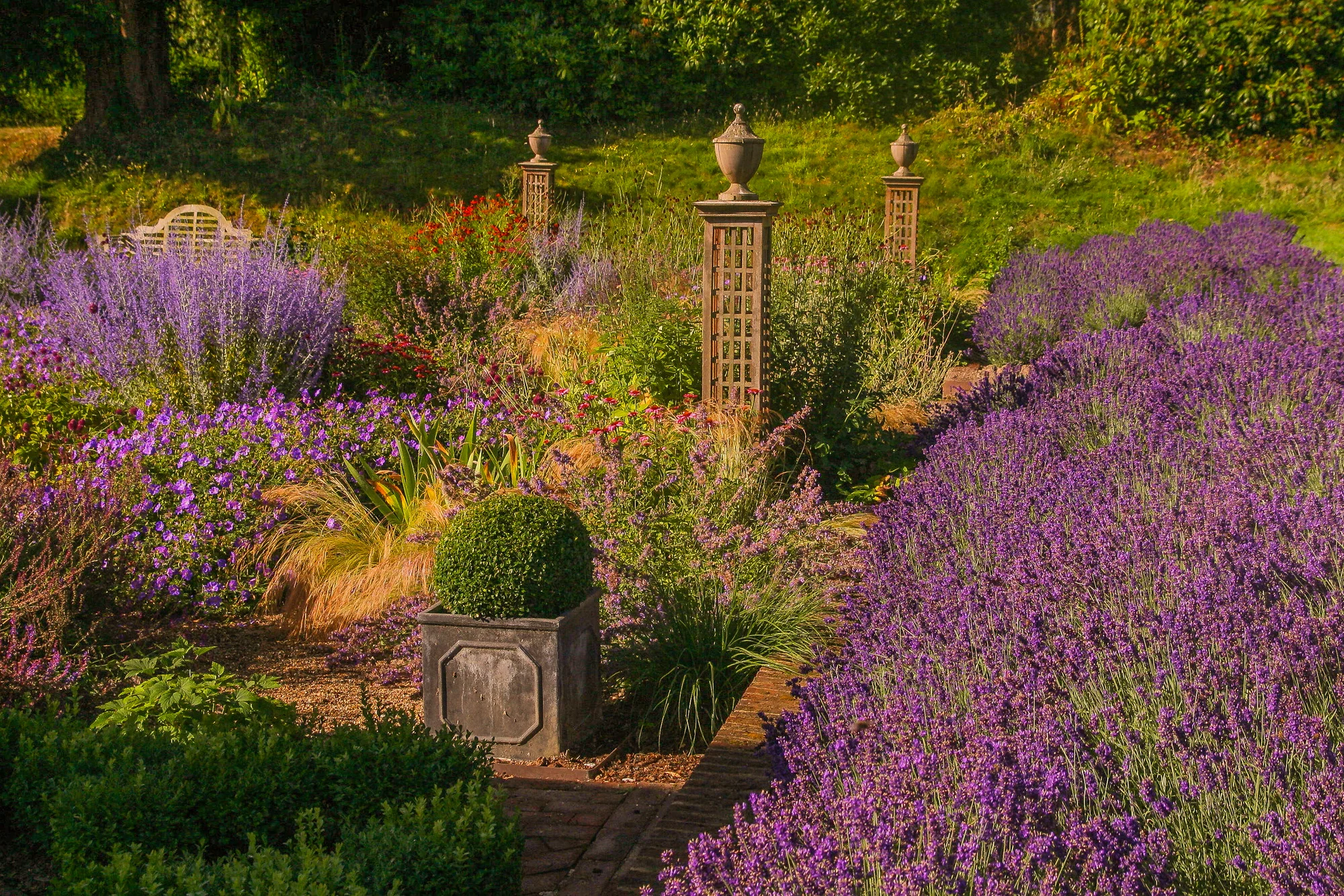 Kent Garden - Gallery 10