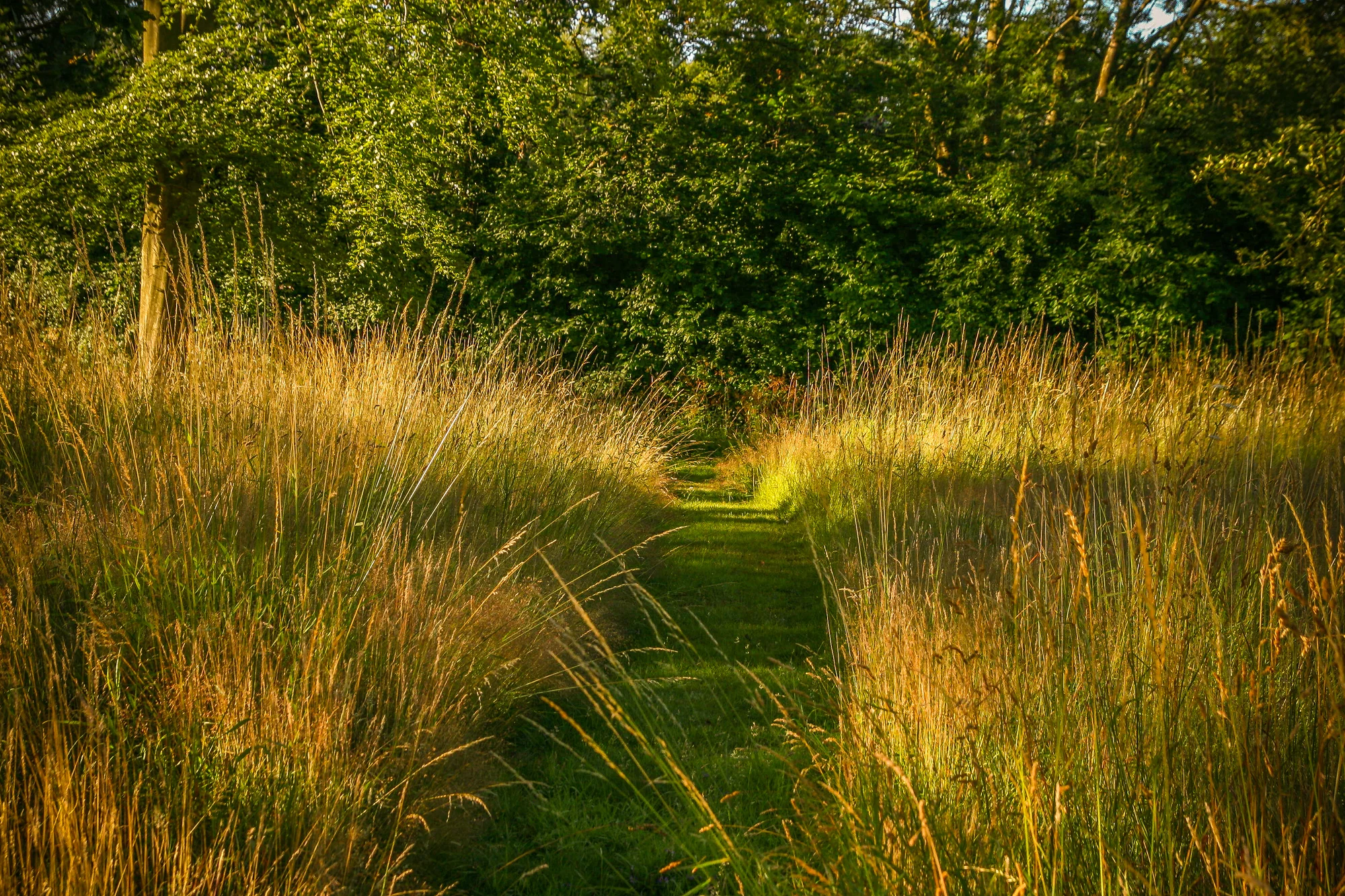 Kent Garden - Gallery 11