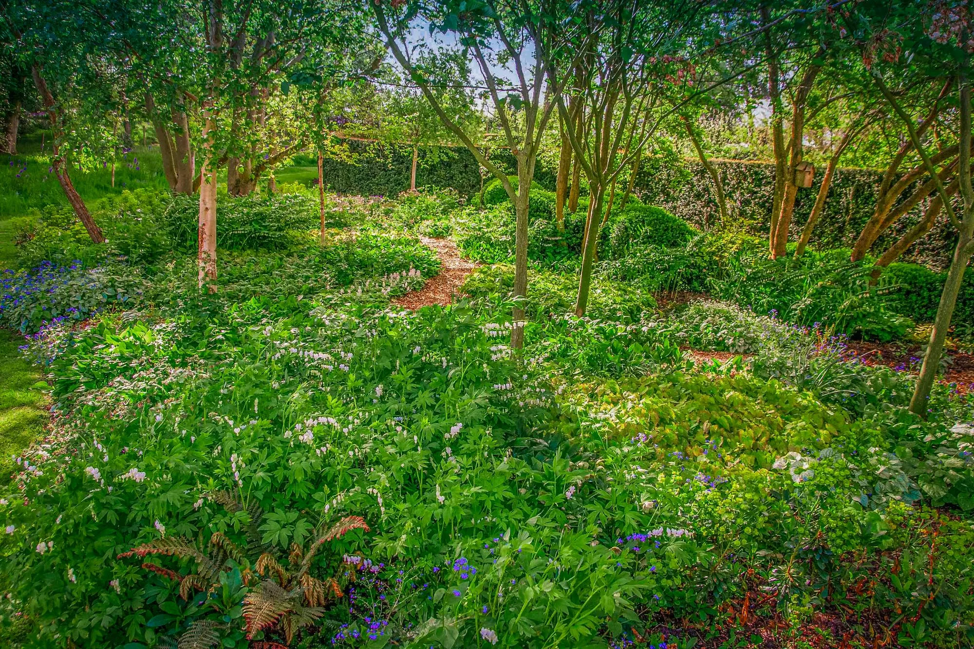 Kitchen & Spring Garden - Gallery 09