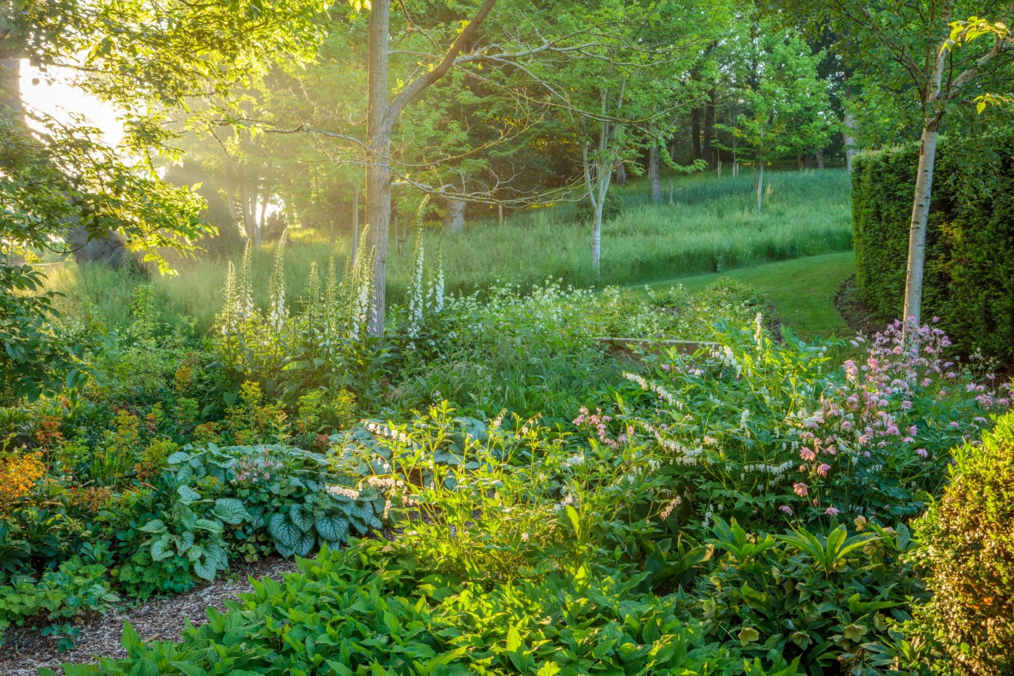 Kitchen & Spring Garden - Gallery 11