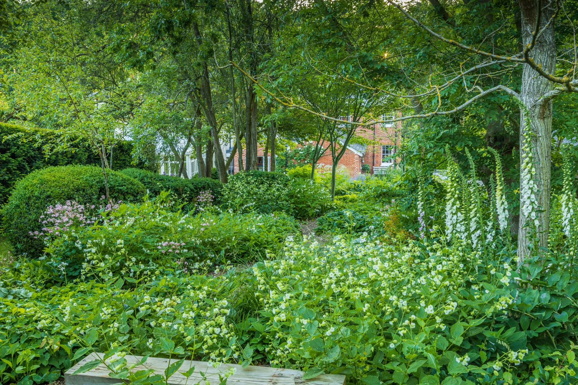 Kitchen & Spring Garden - Gallery 13