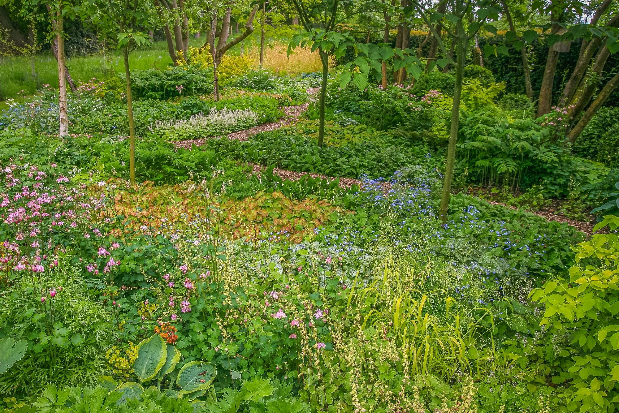 Kitchen & Spring Garden - Gallery 14