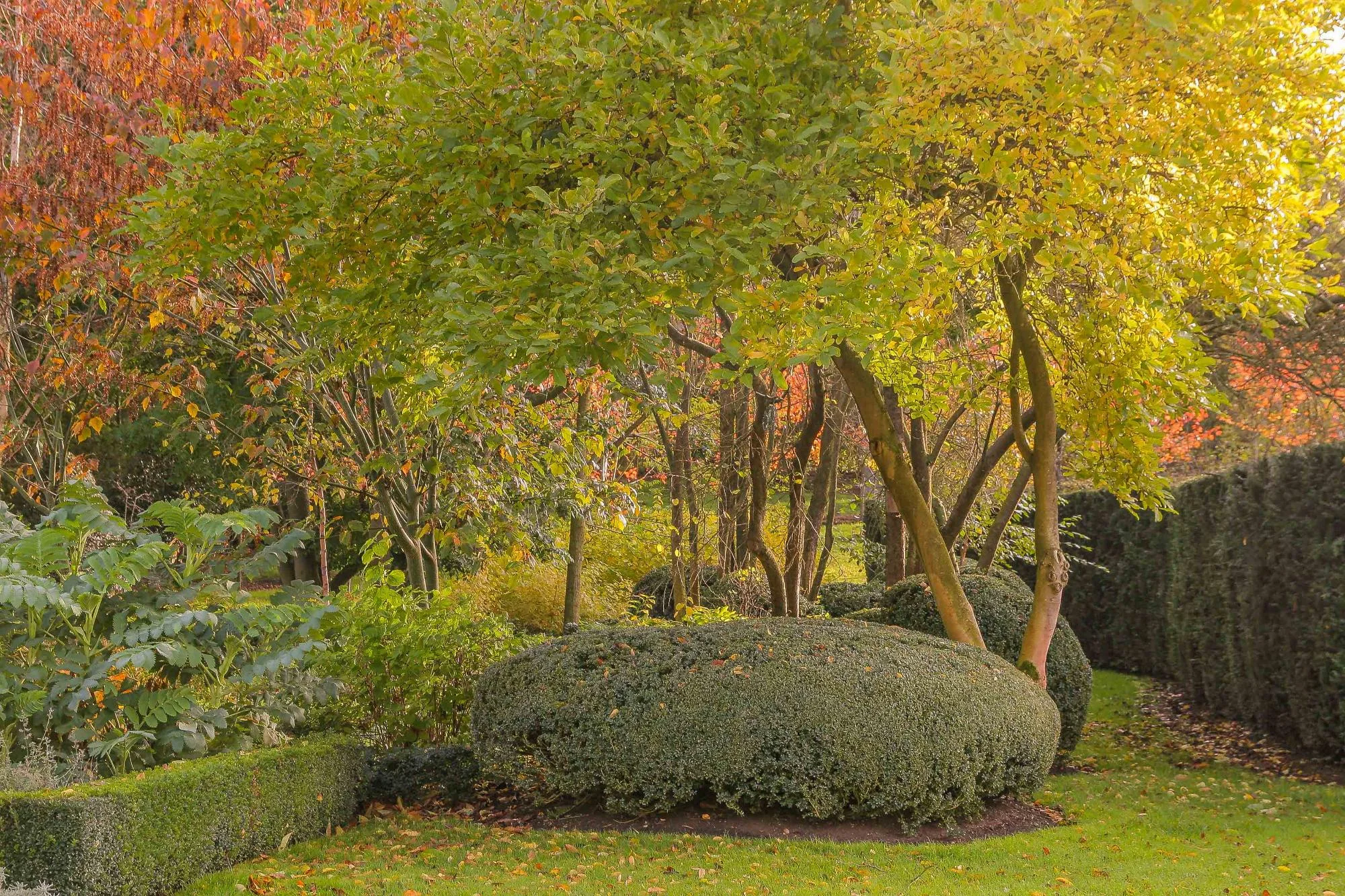 Kitchen & Spring Garden - Gallery 16