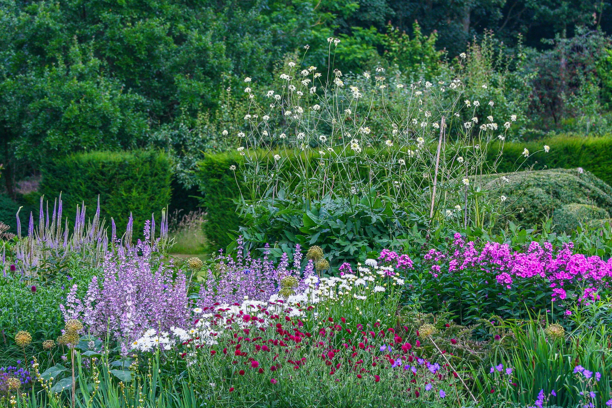 Large Essex Country Garden - Gallery 05