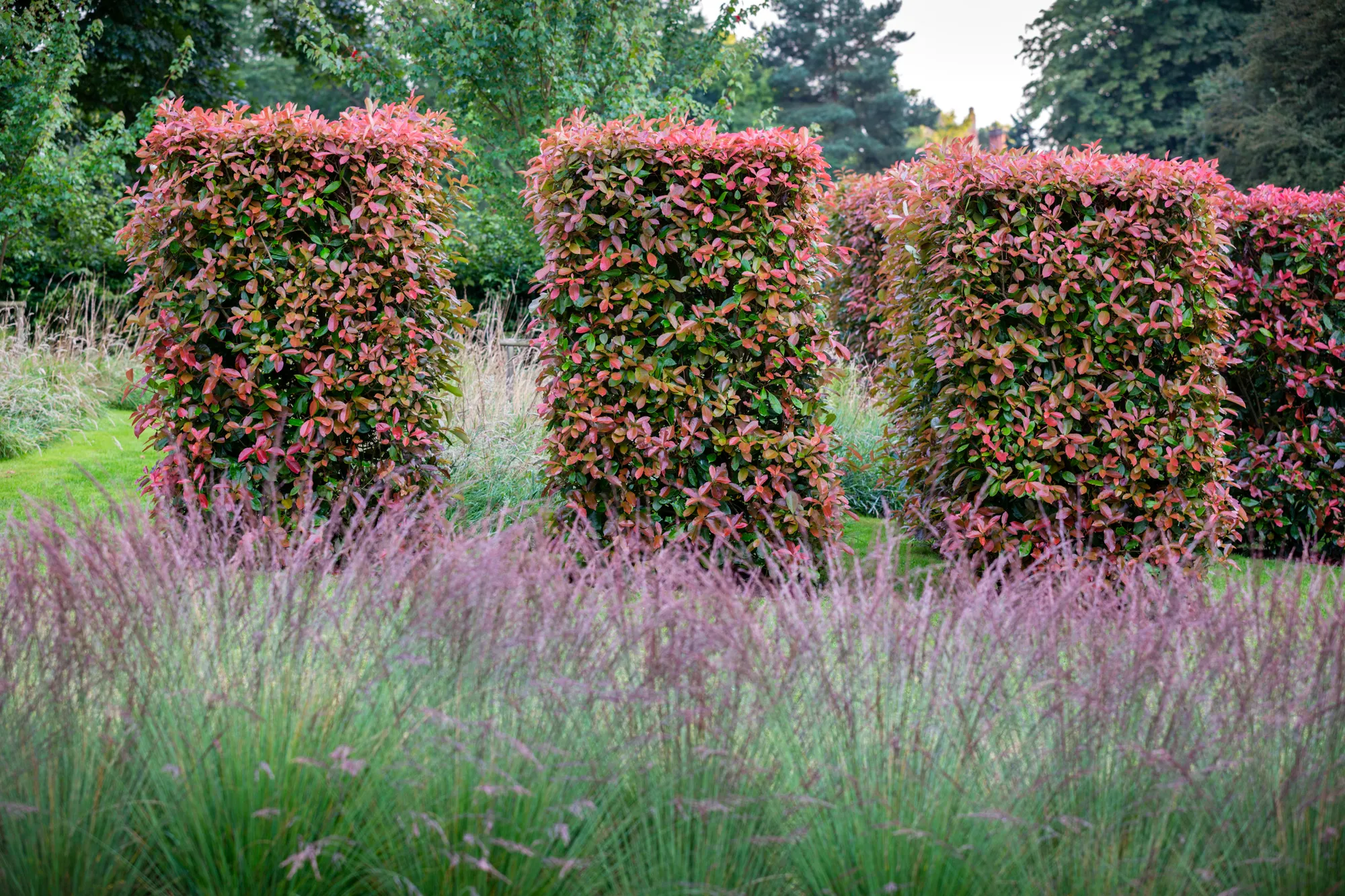 Large Essex Country Garden - Gallery 08