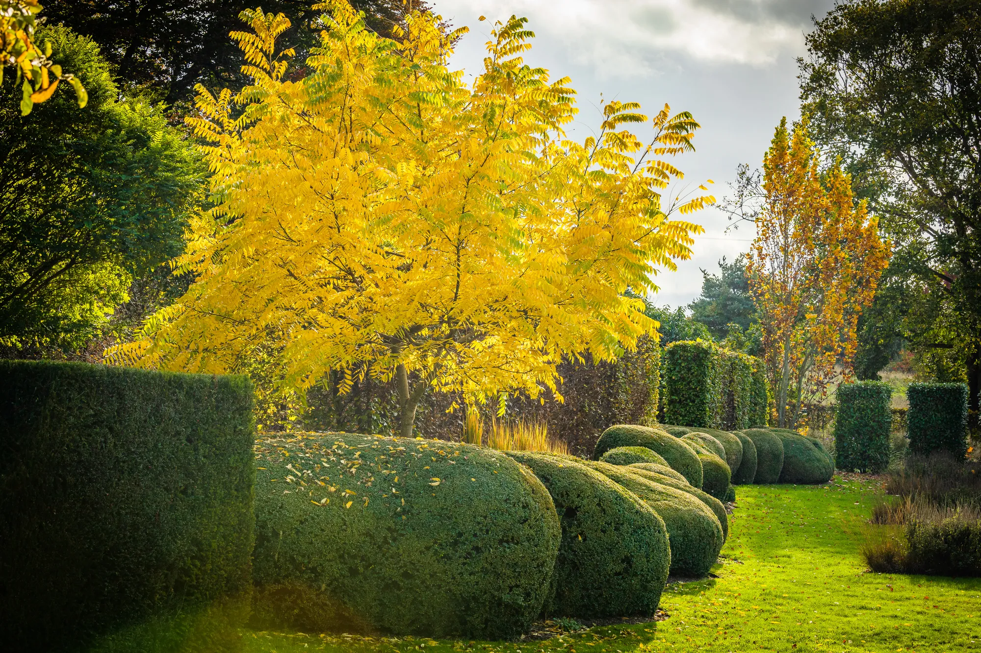 Large Essex Country Garden - Gallery 13