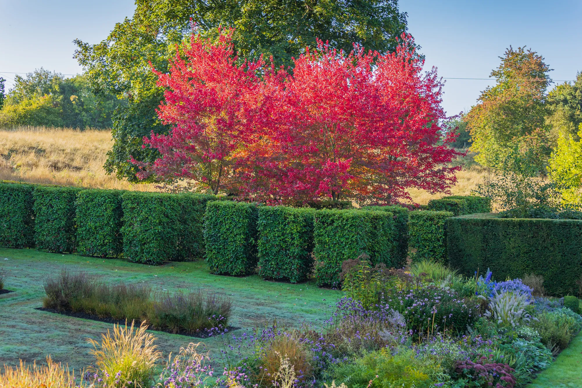 Large Essex Country Garden - Gallery 14