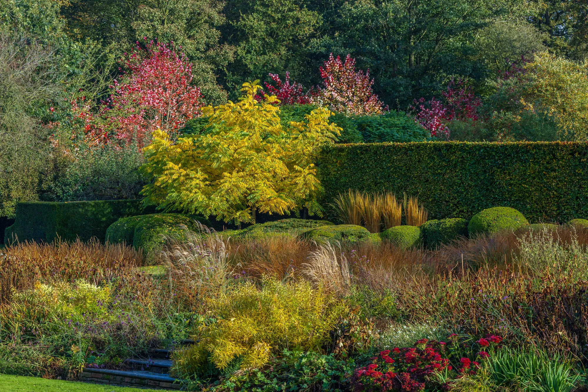 Large Essex Country Garden - Gallery 15