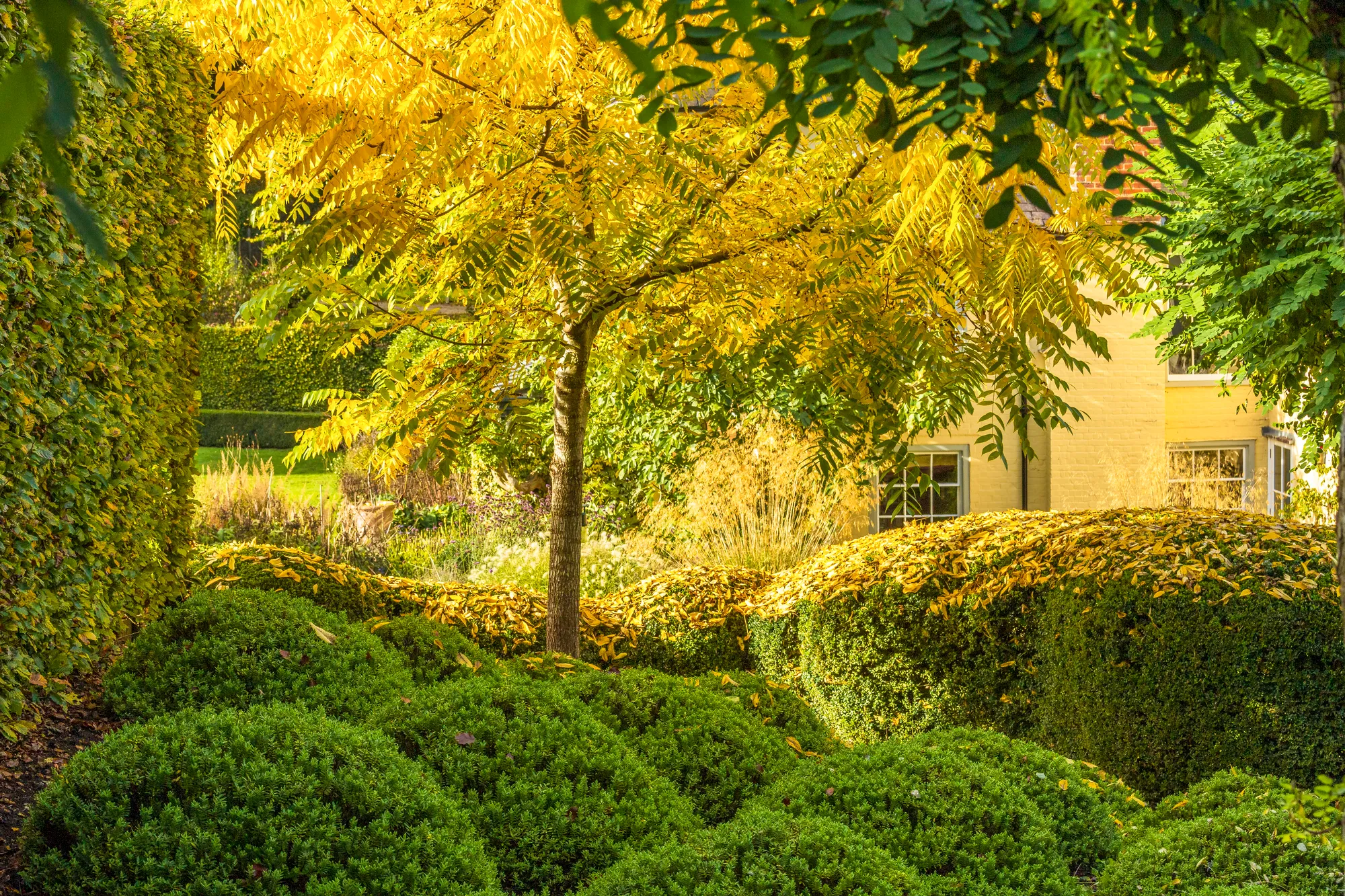 Large Essex Country Garden - Gallery 16