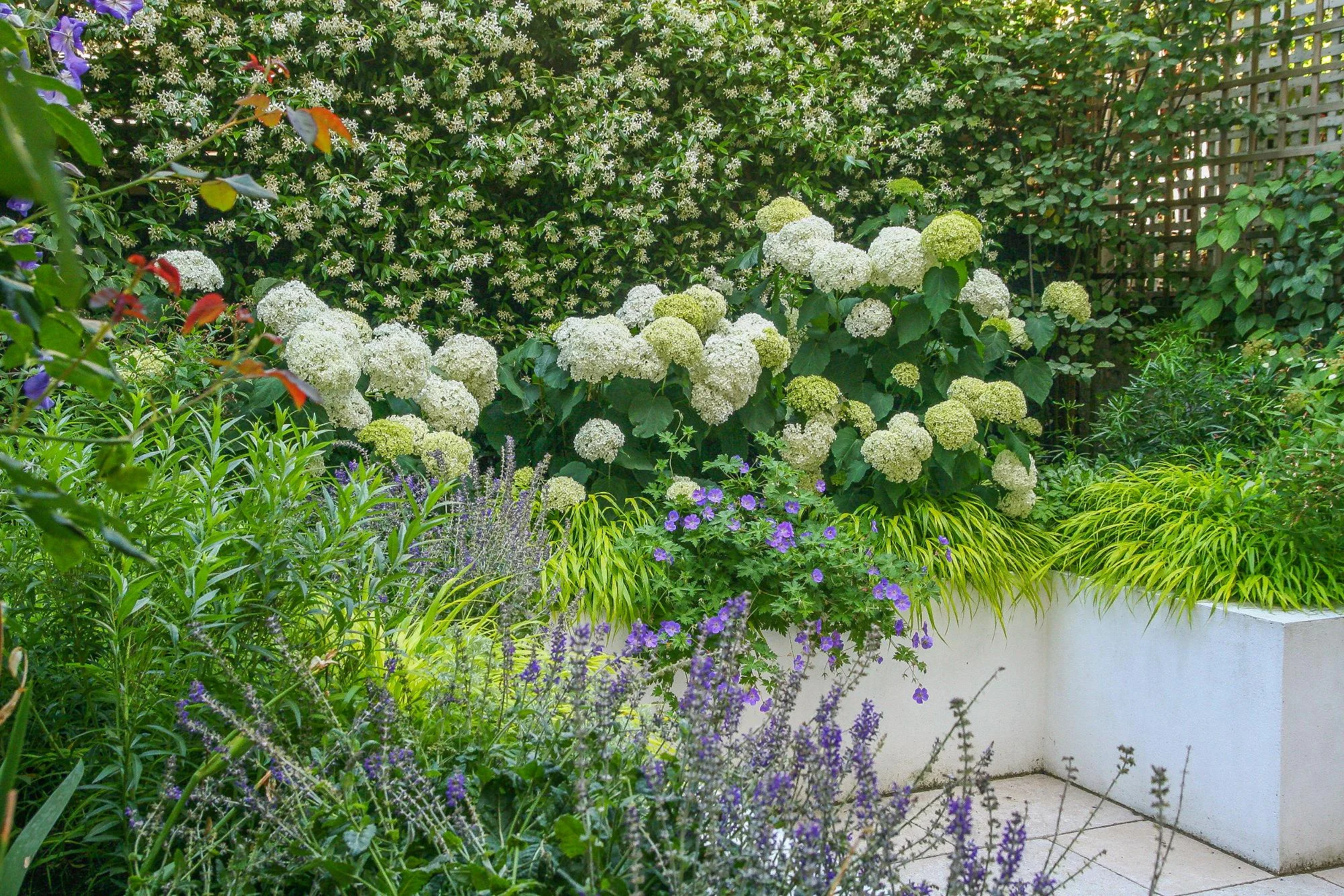 London Garden - Gallery 04