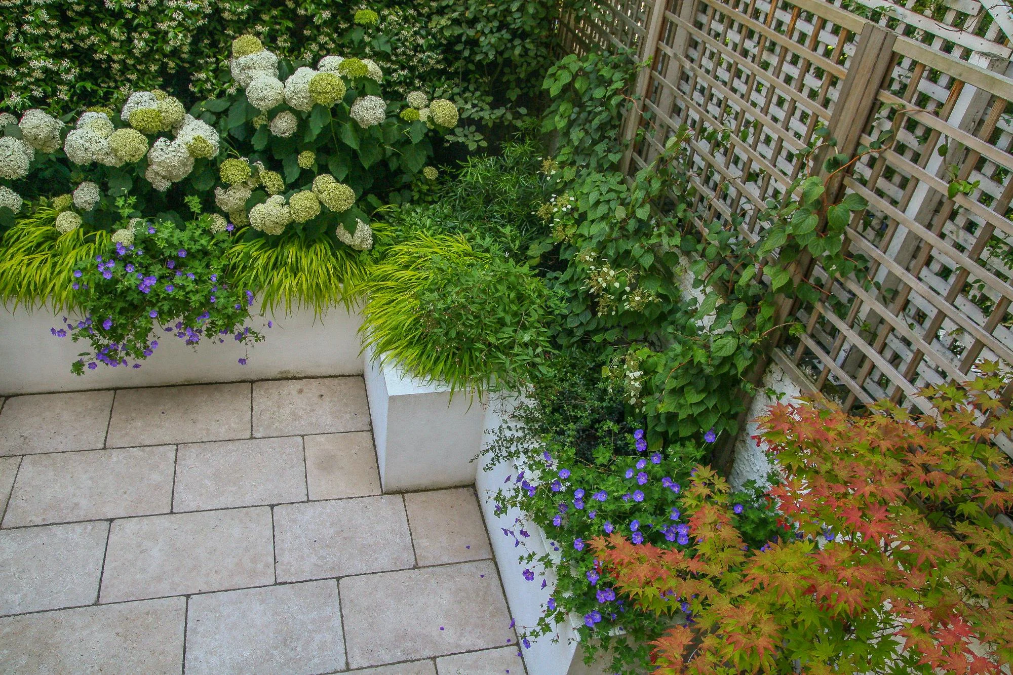 London Garden - Gallery 09