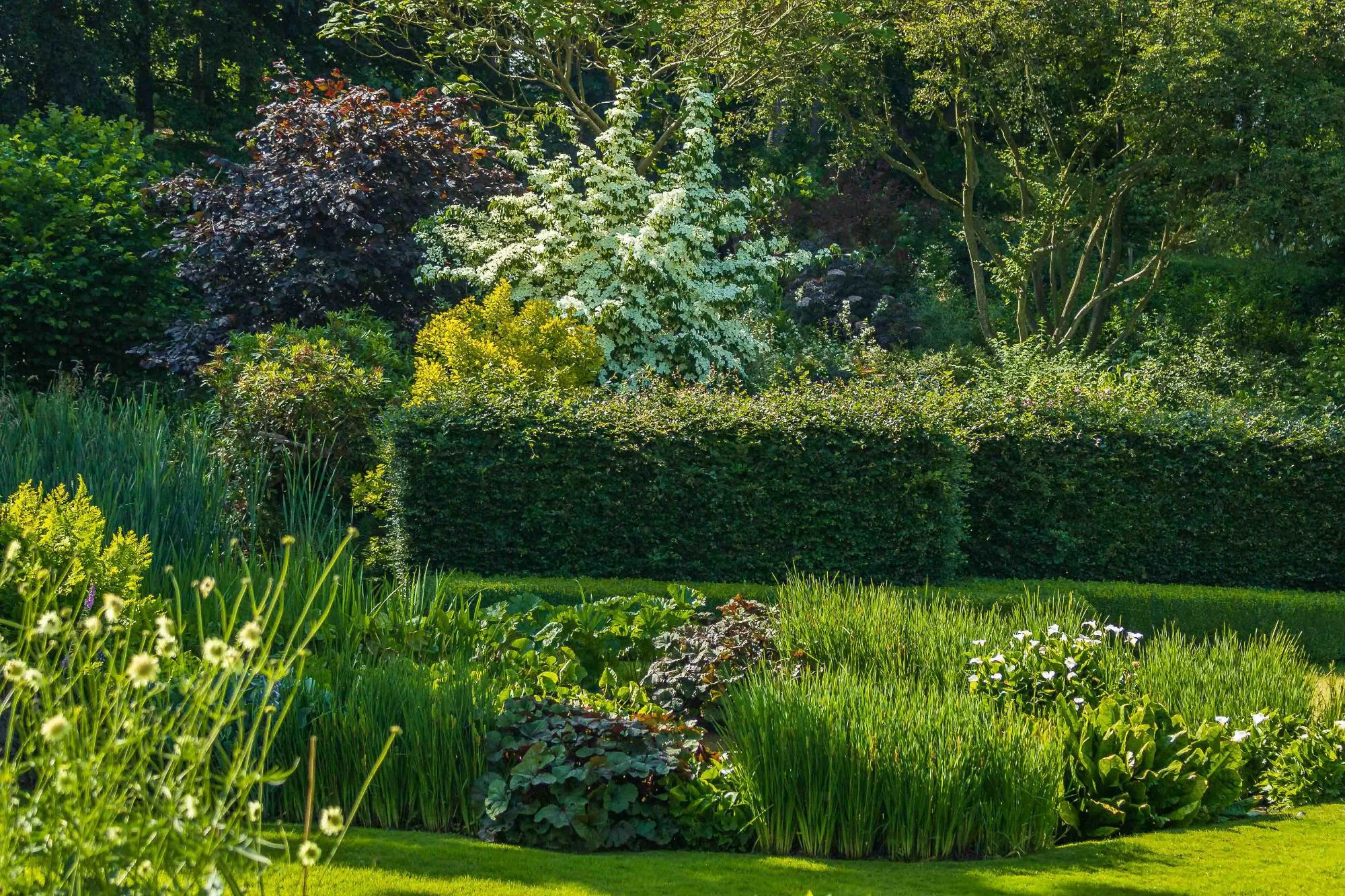 Natural Pond and Reflecting Pool - Gallery 03