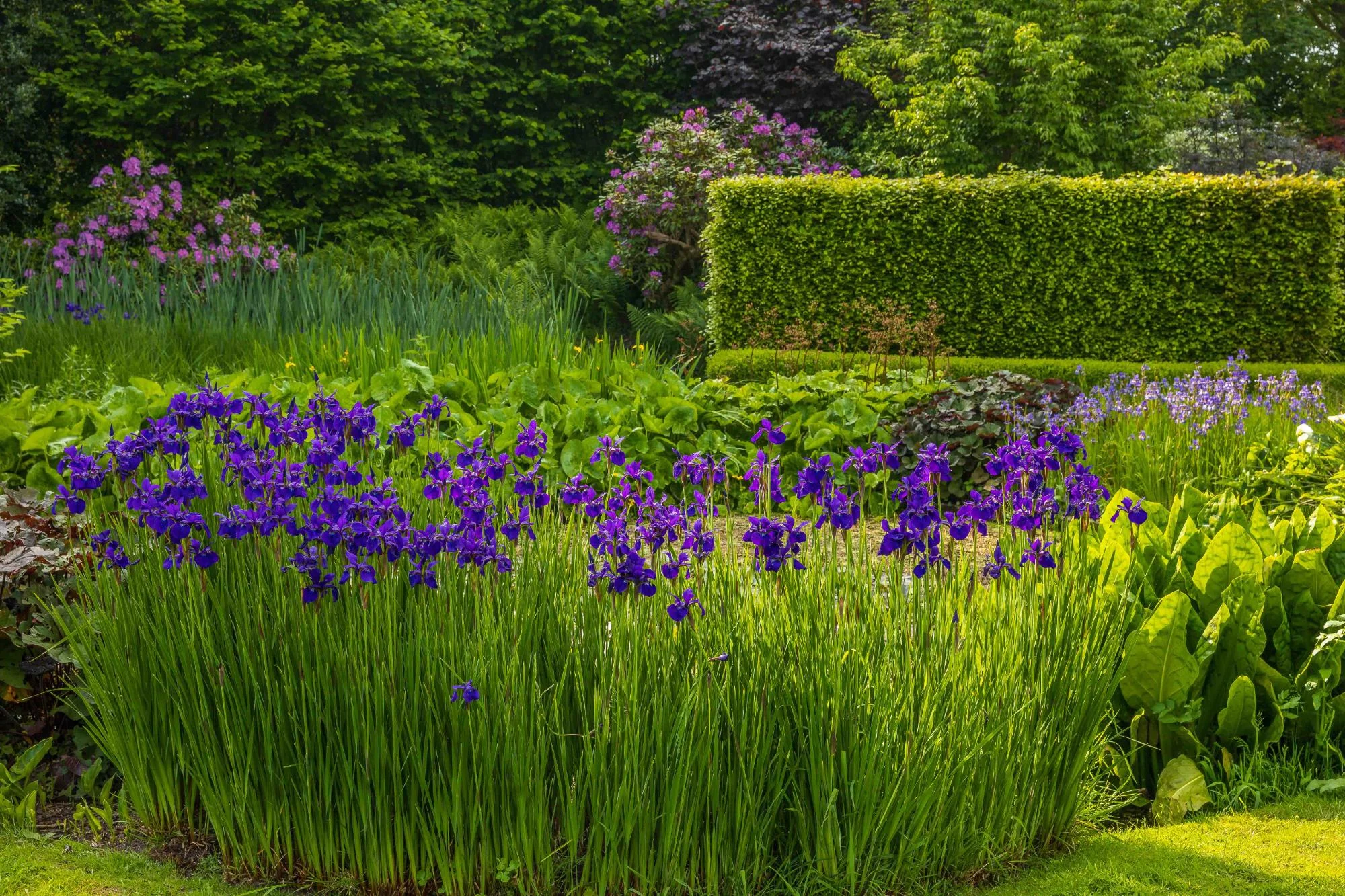 Natural Pond and Reflecting Pool - Gallery 05