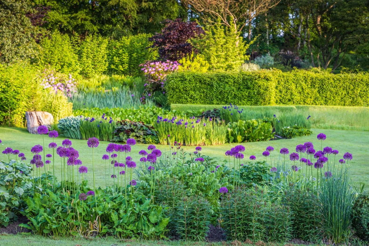 Natural Pond and Reflecting Pool - Gallery 06