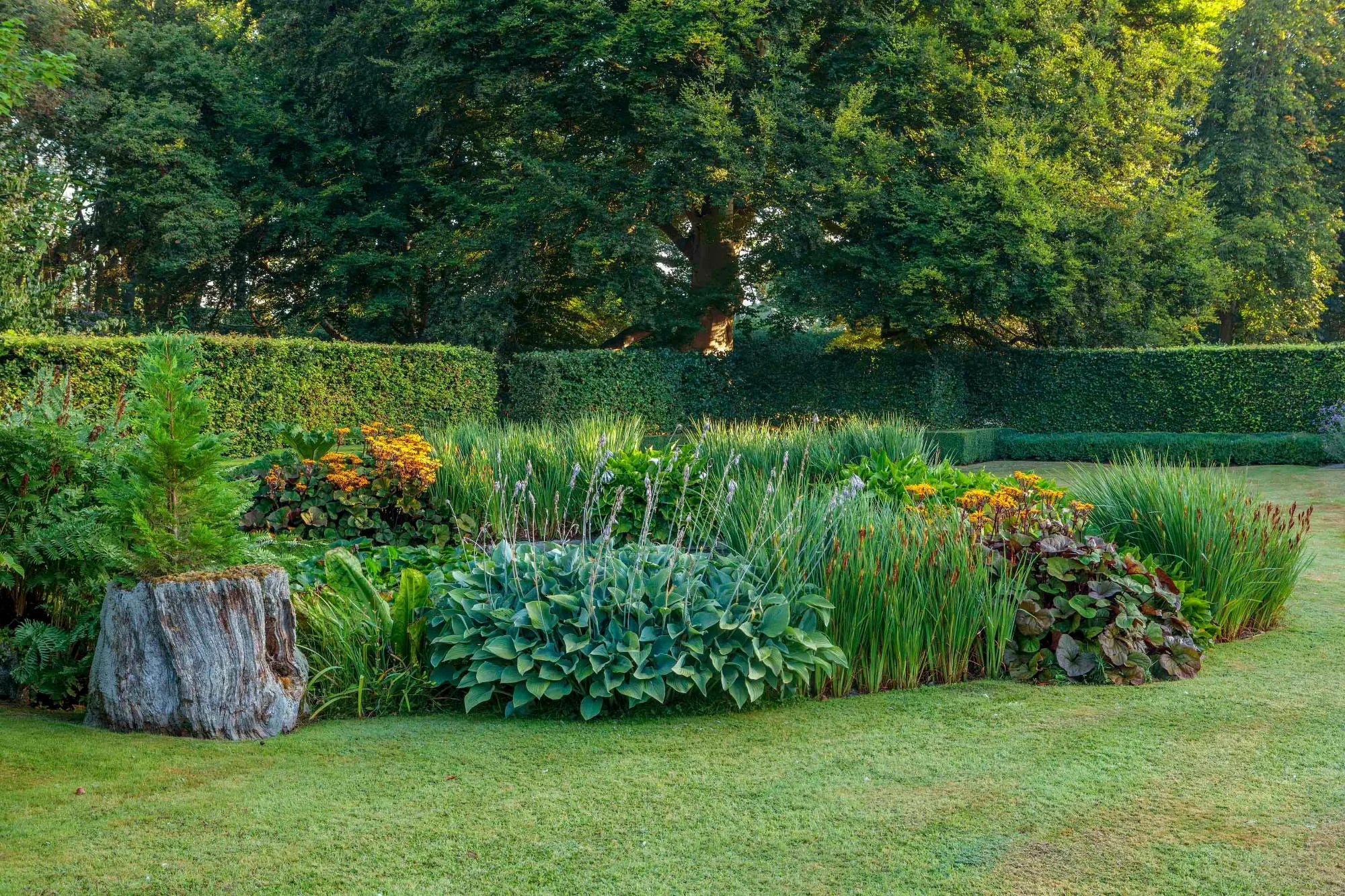 Natural Pond and Reflecting Pool - Gallery 07