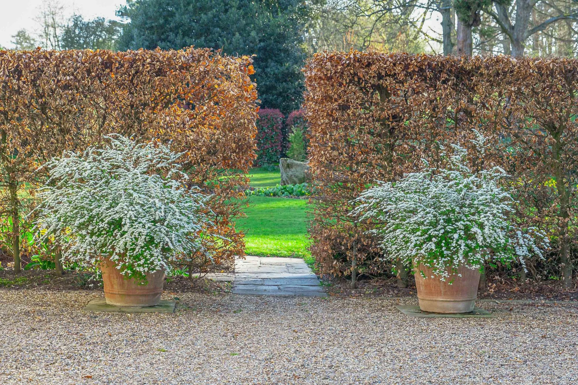 Natural Pond and Reflecting Pool - Gallery 08