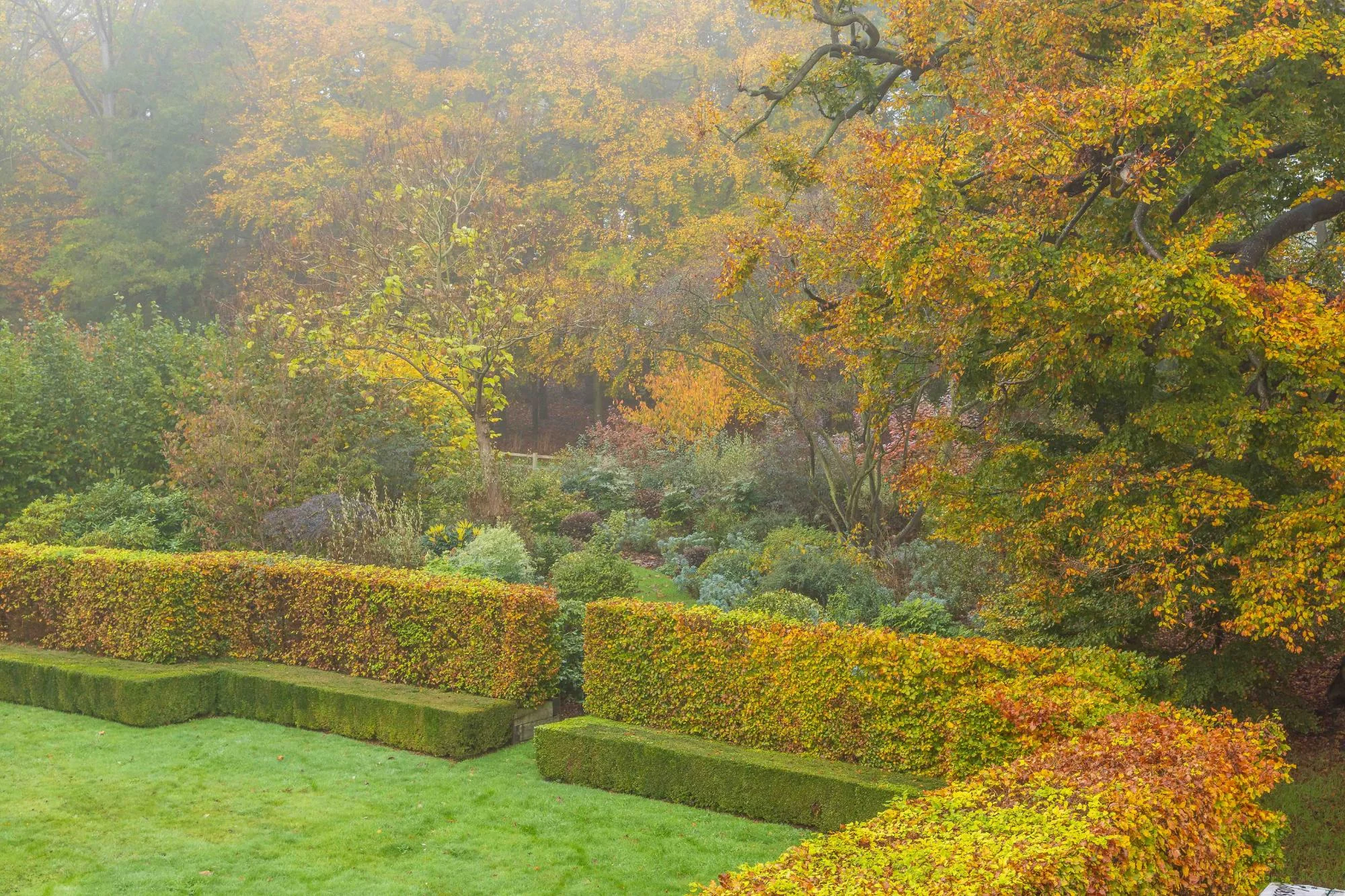 Natural Pond and Reflecting Pool - Gallery 10