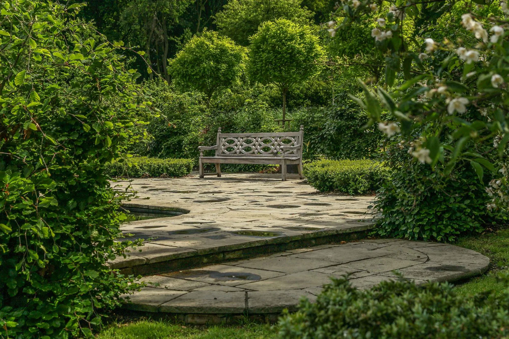 Natural Pond and Reflecting Pool - Gallery 13