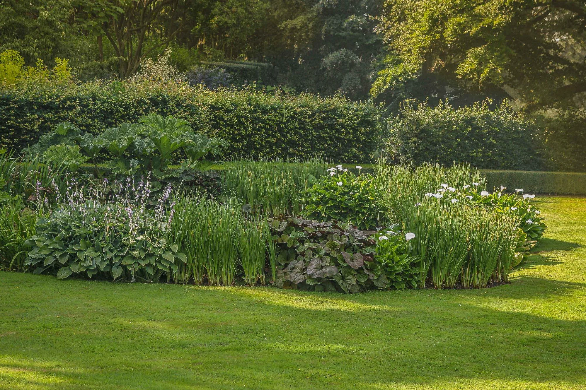 Natural Pond and Reflecting Pool