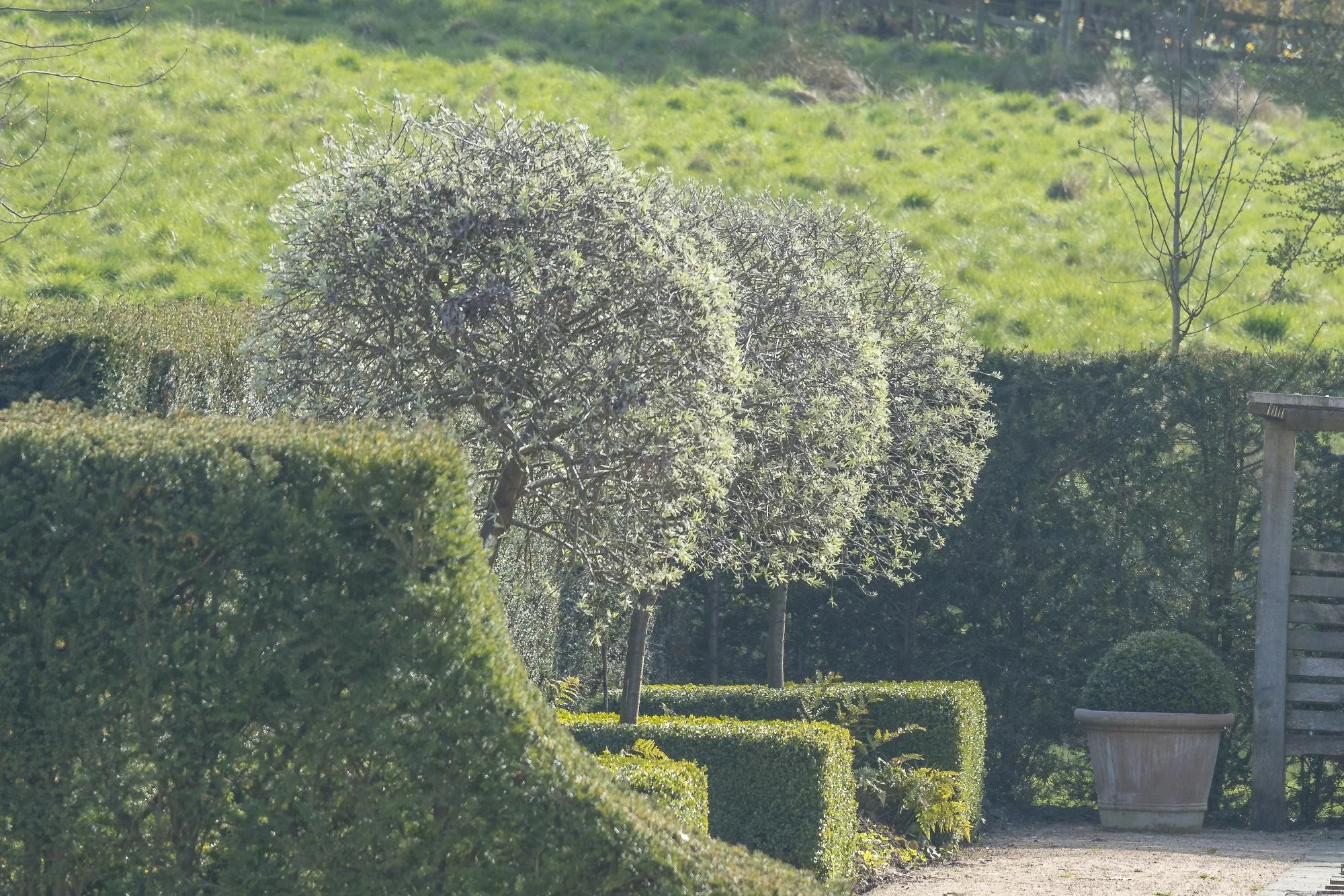 Rill Garden - Gallery 03